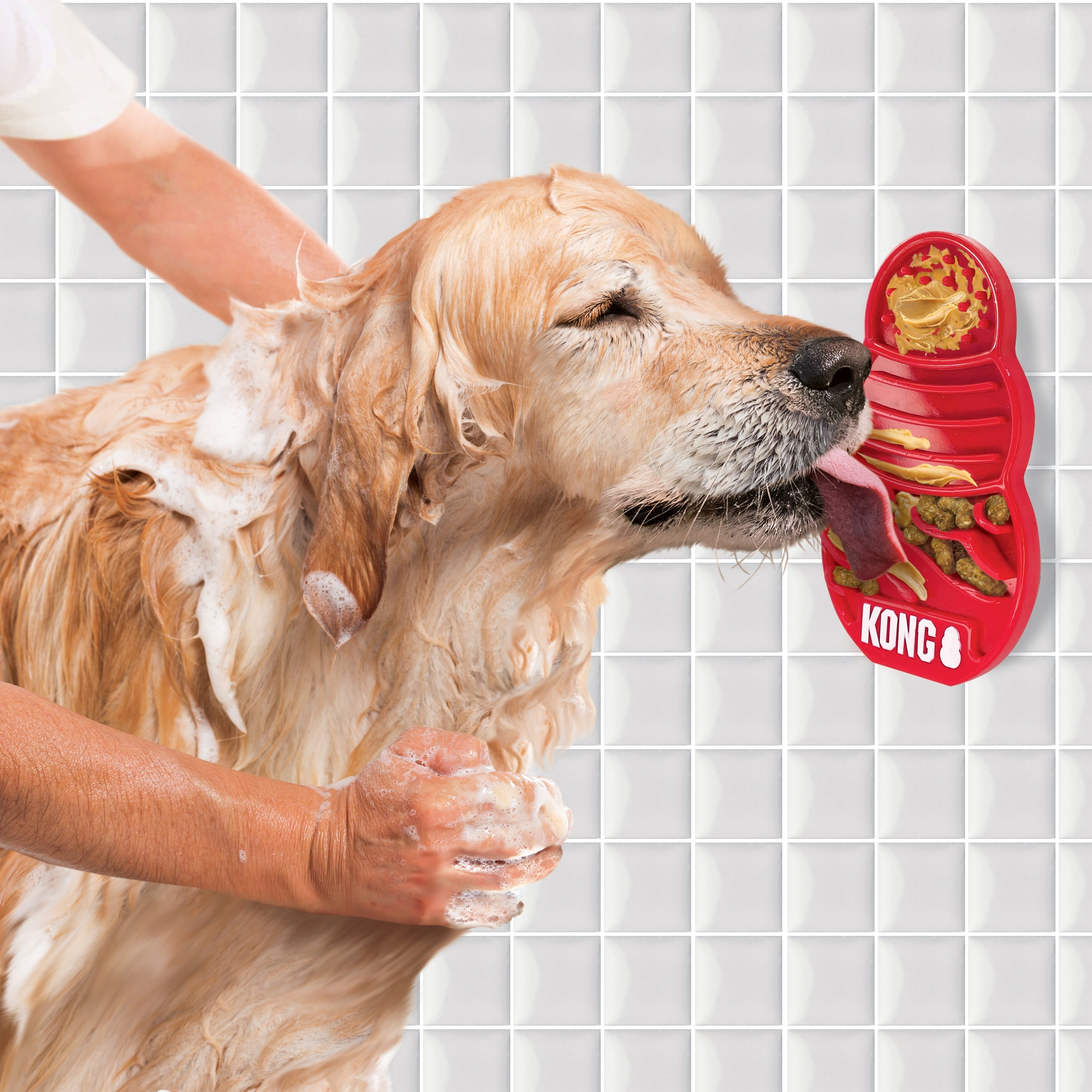 Golden retriever licking KONG Licks mat stuck to tile during a bath