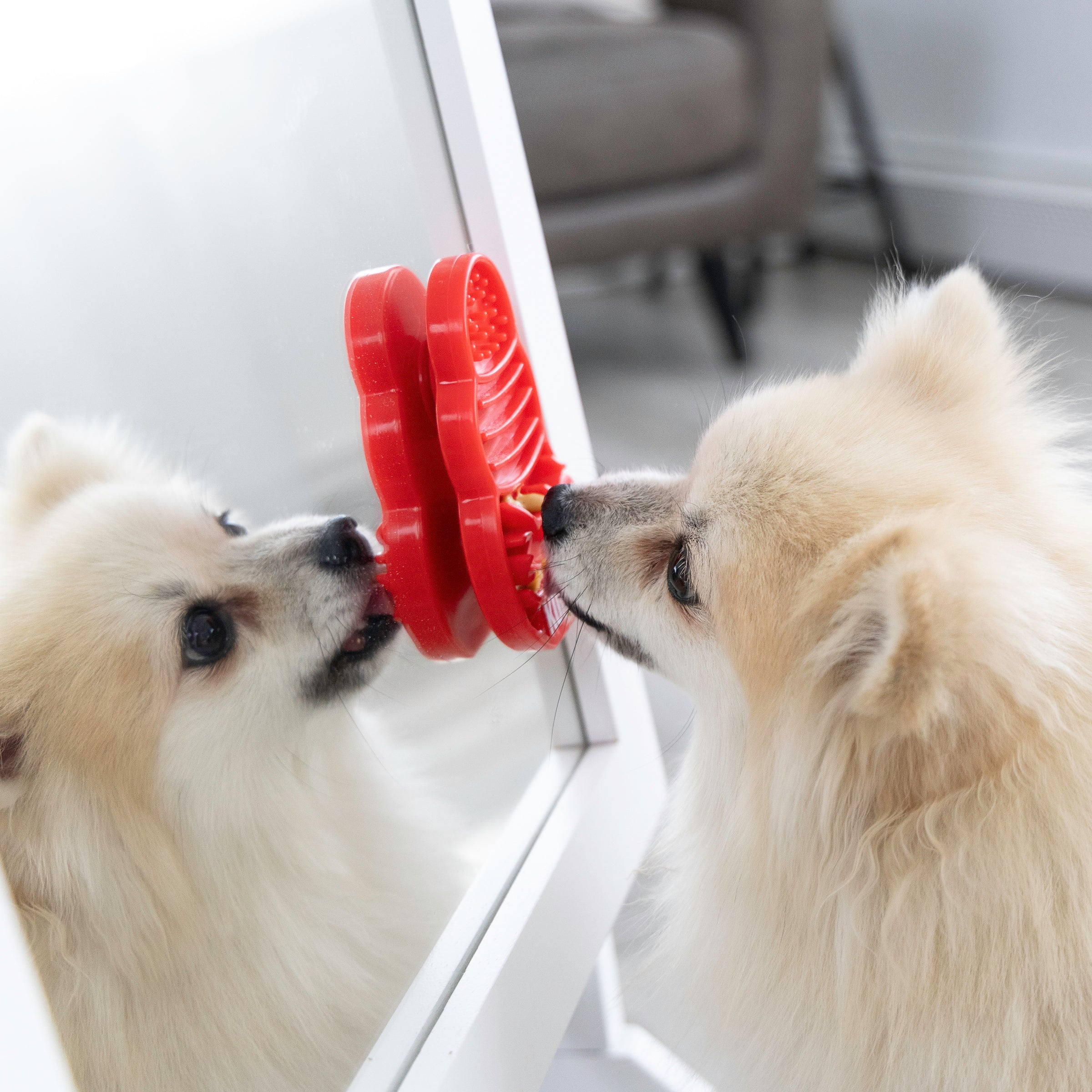 Dog licking KONG Licks treat dispenser mat attached to a mirror