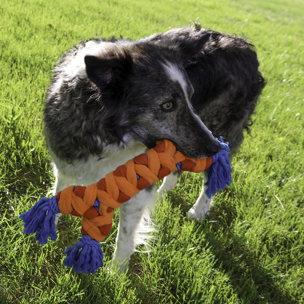 Dog carrying KONG Rope Rally Bone Dog Toy in the grass
