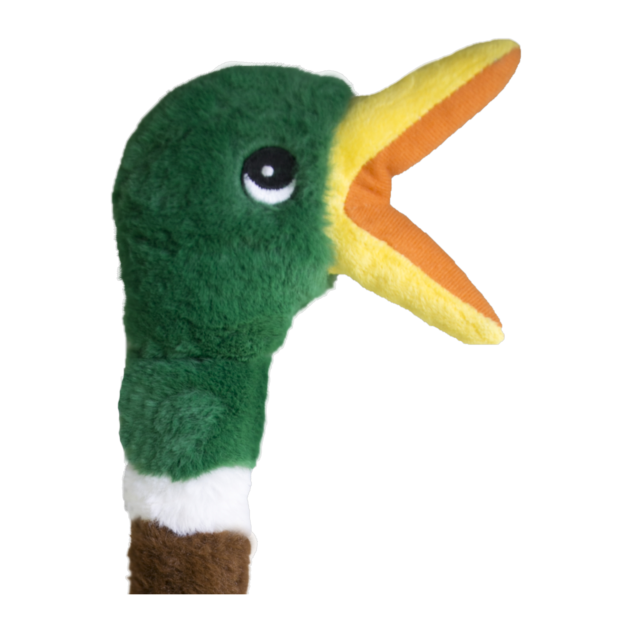 KONG Shakers Honkers Duck Dog Toy mallard head close-up