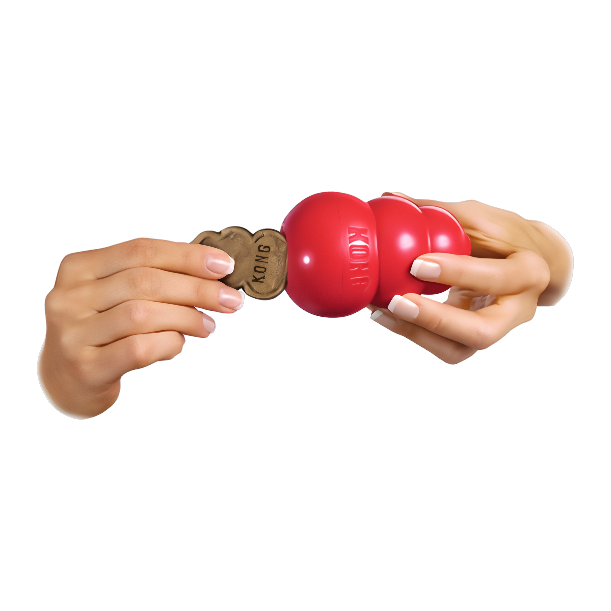 Hands stuffing a KONG Snacks biscuit into a KONG Classic dog toy