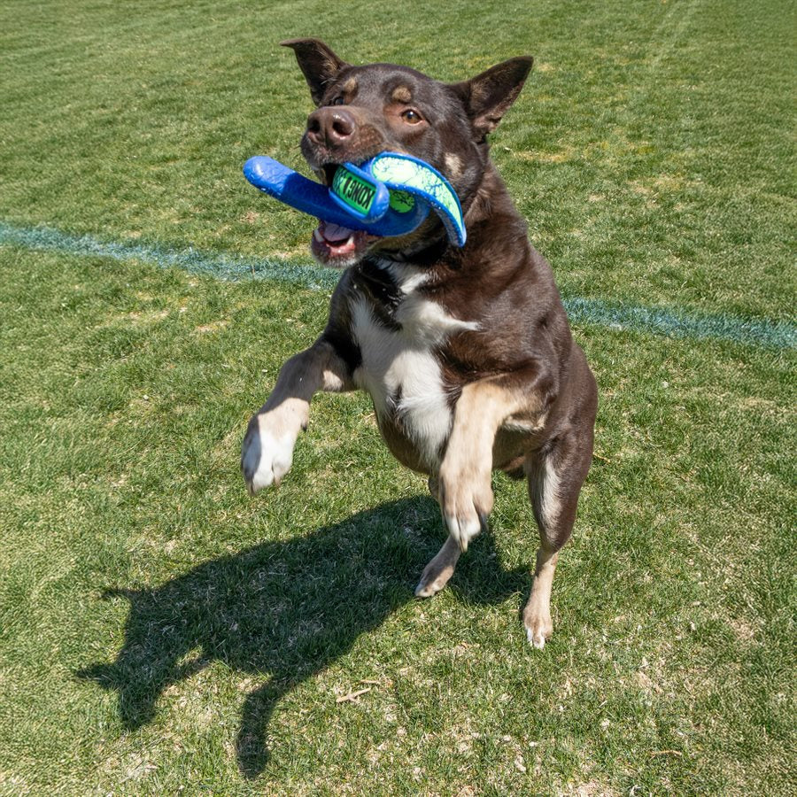 KONG Whirlz Throw Dog Toy