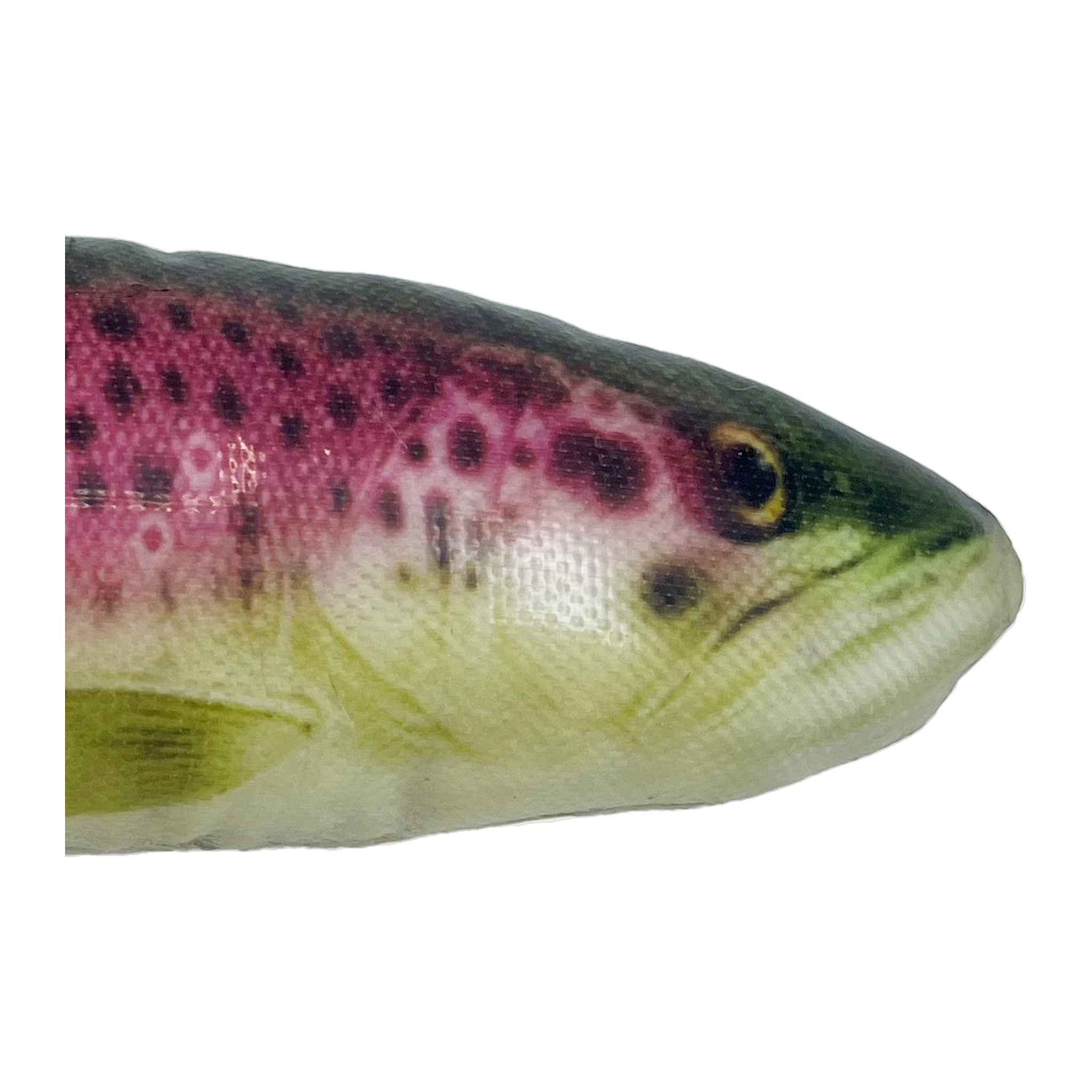 KONG Wild Shieldz Trout Dog Toy trout detail close-up