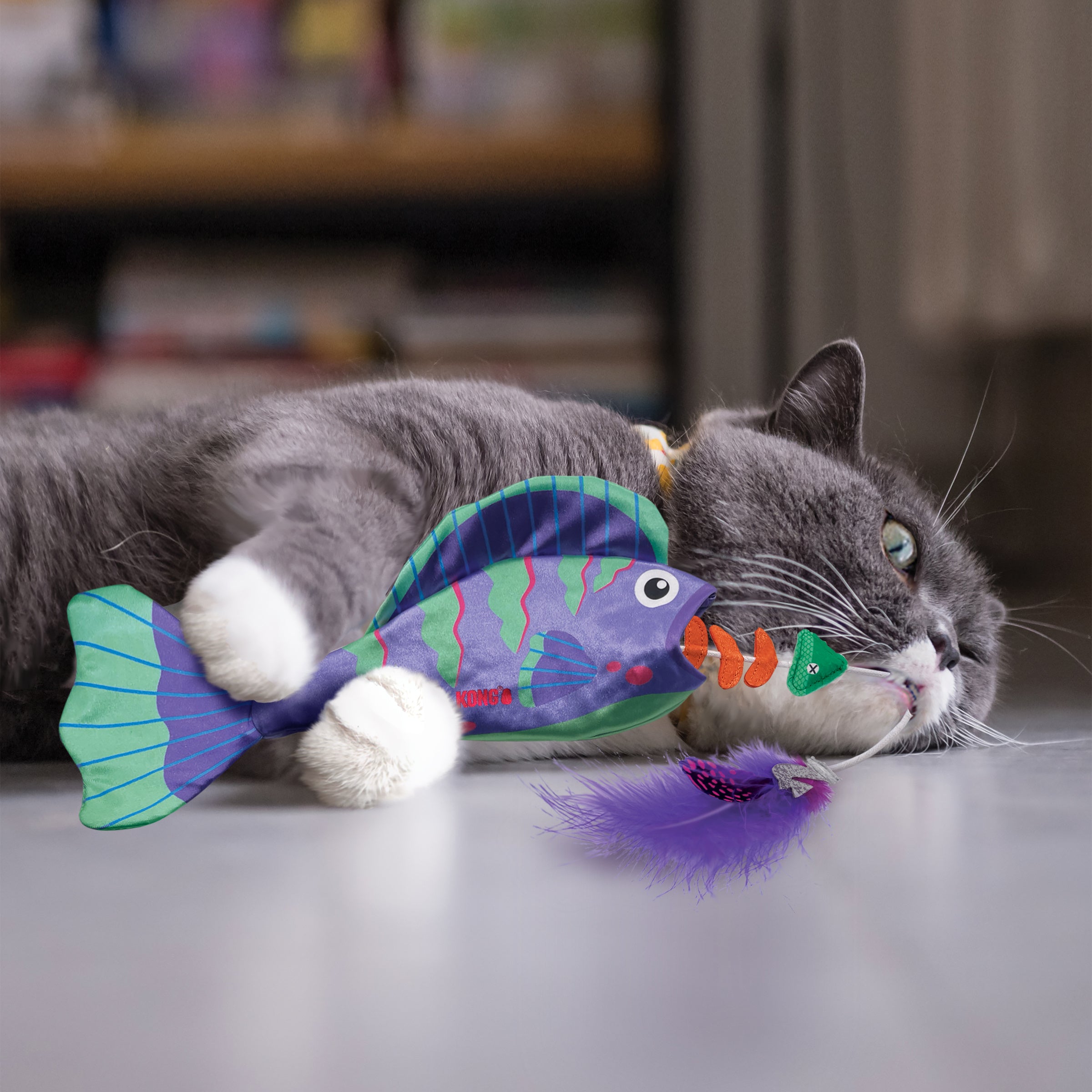 Cat playing with KONG Wrangler Angler Fish cat toy