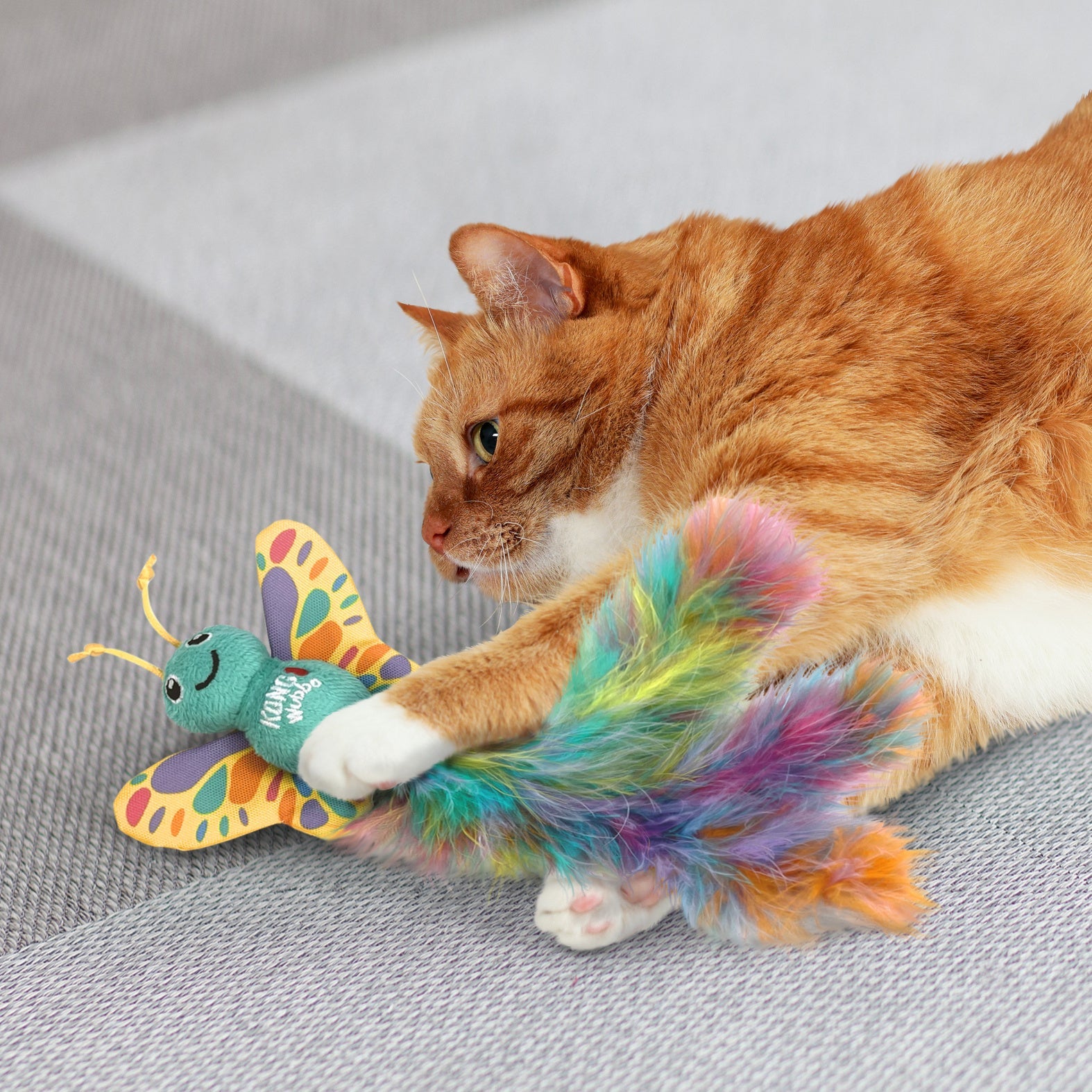 Cat playing with the KONG Wubba Butterfly cat toy and its rainbow feather tail