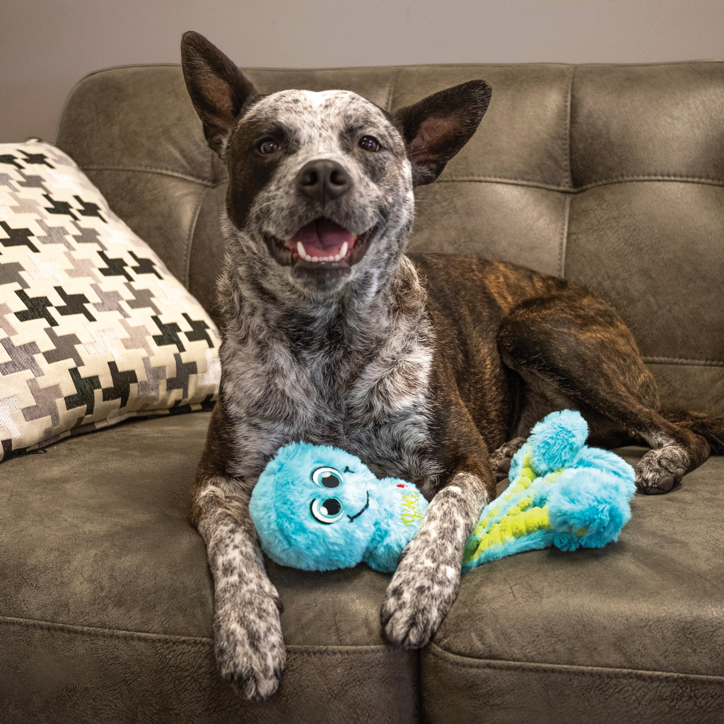 Dog relaxing on a couch with a teal KONG Wubba Octopus plush toy