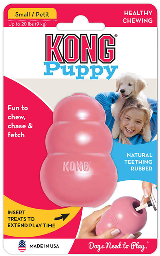 KONG Puppy dog chew toy, small, in blue.