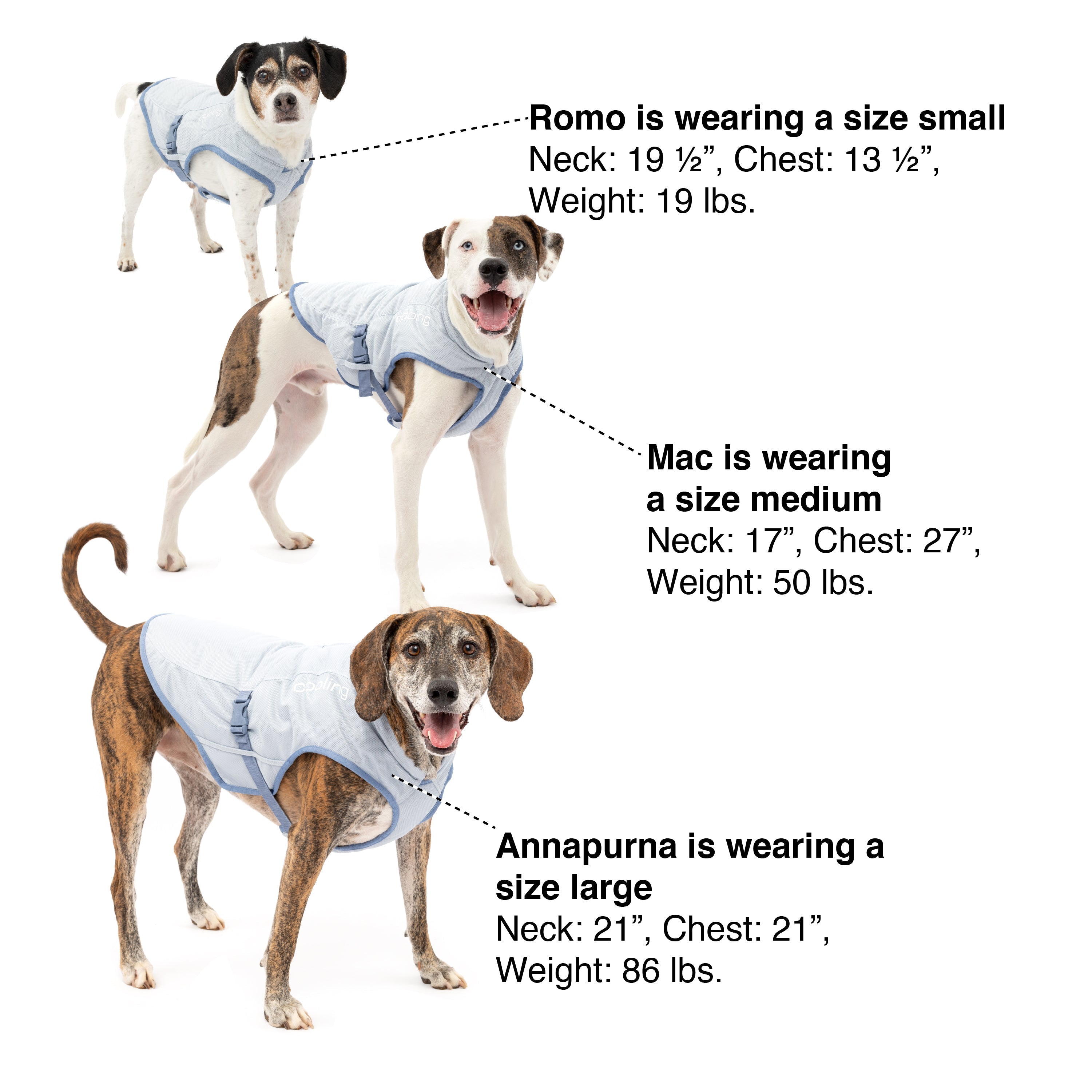 Kurgo Core Cooling Vest sizing guide with neck, chest, and back measurements