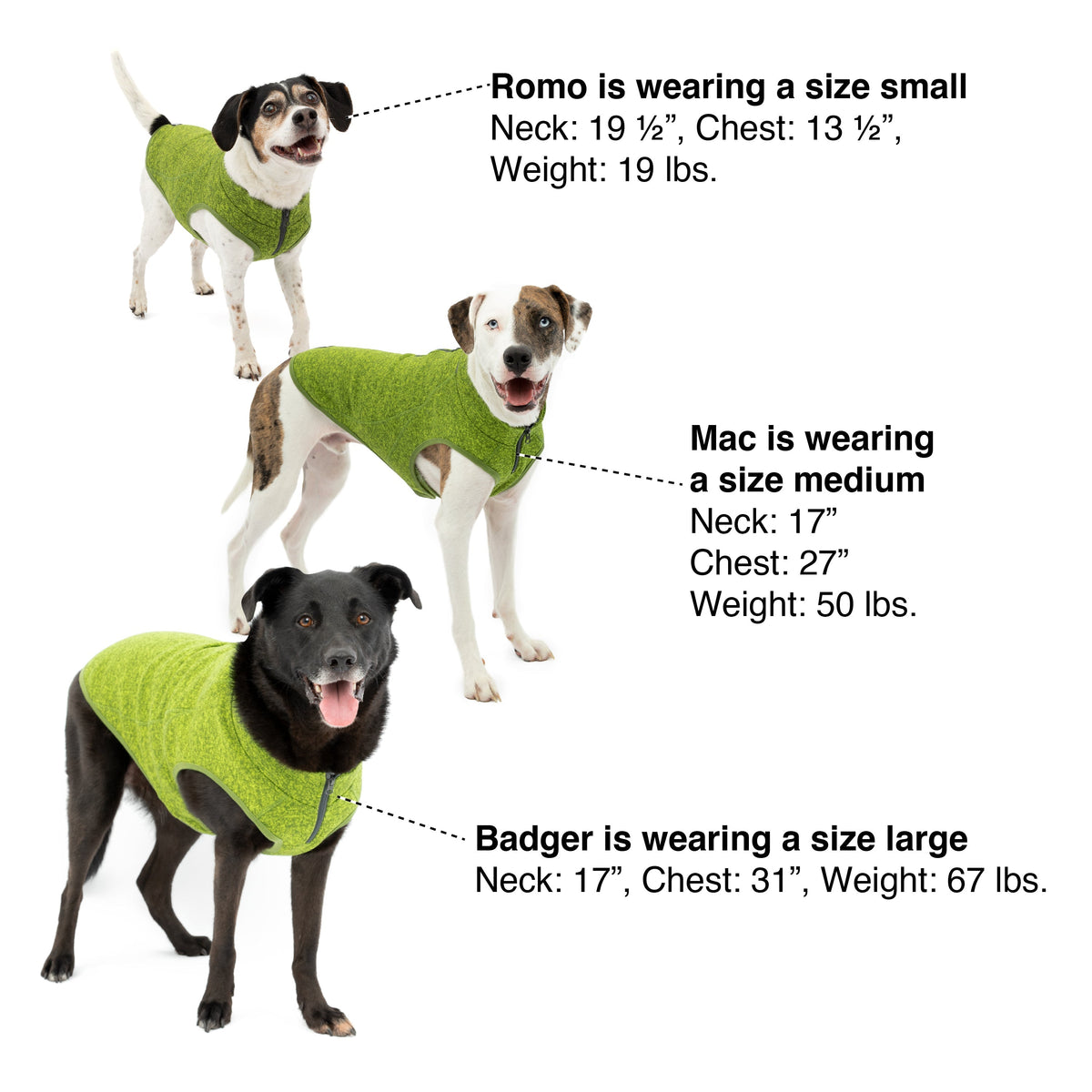 Kurgo Core Dog Sweater sizing guide with neck, chest, and back measurements