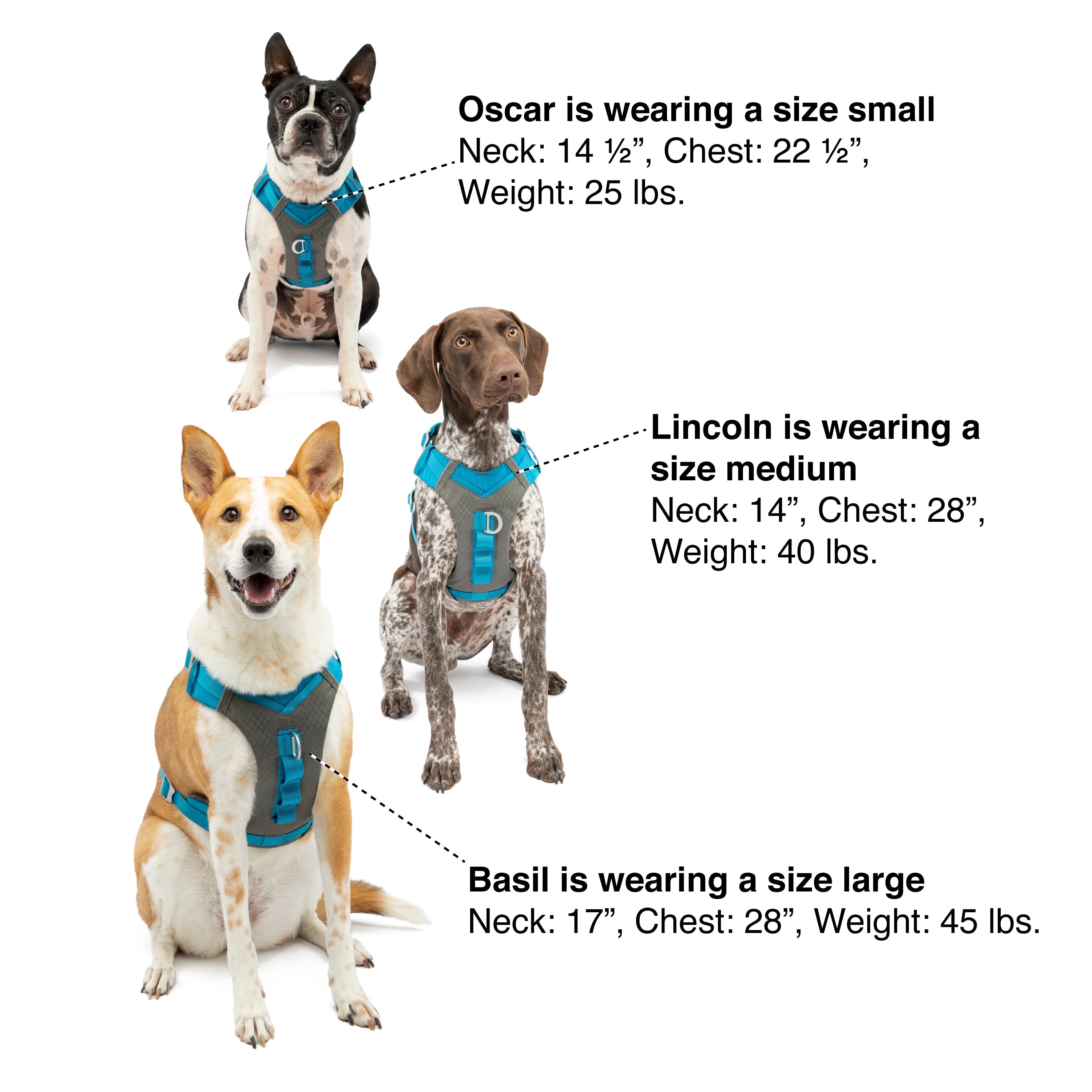Kurgo Journey Air harness sizing guide with neck and chest measurements