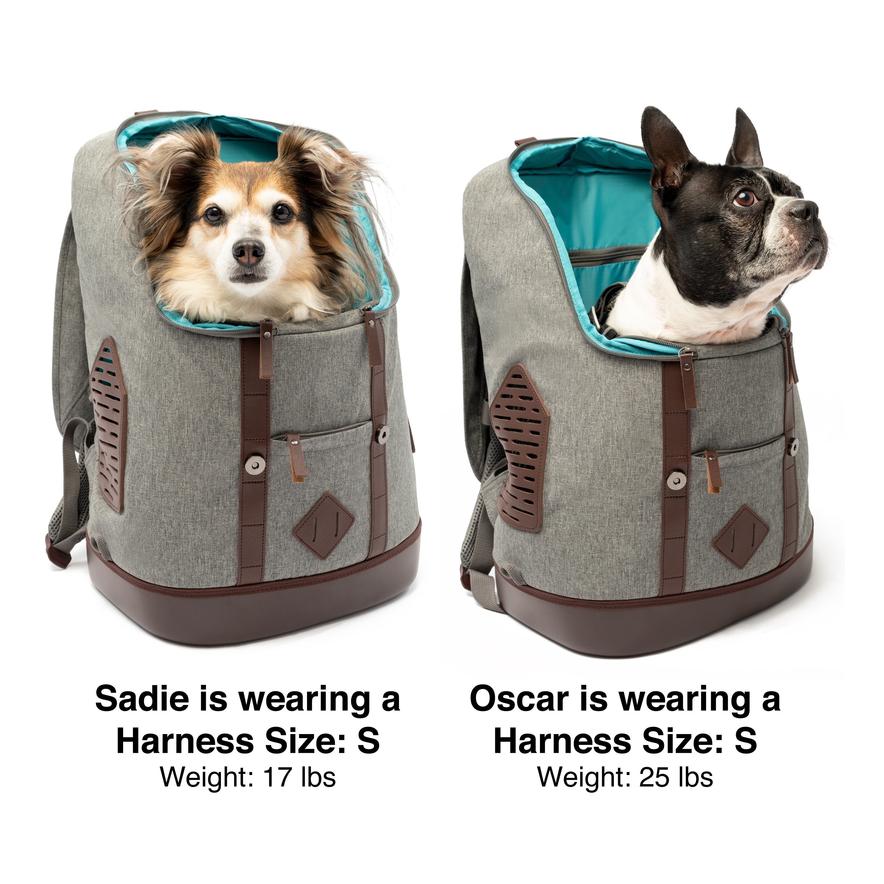 Kurgo Rucksack carrier sizing guide for dogs up to 25 lb