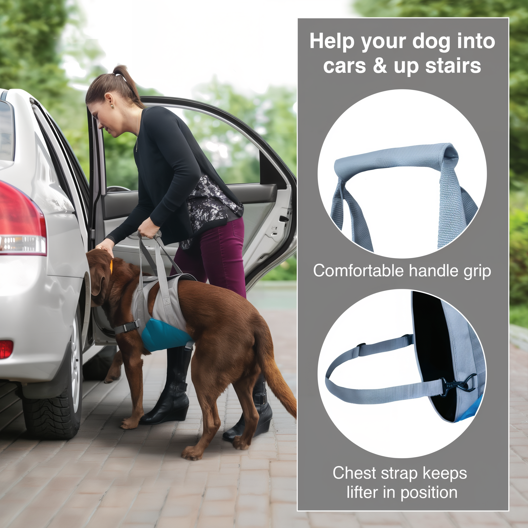 Owner helping a dog into a car with the Up and About Dog Lifter