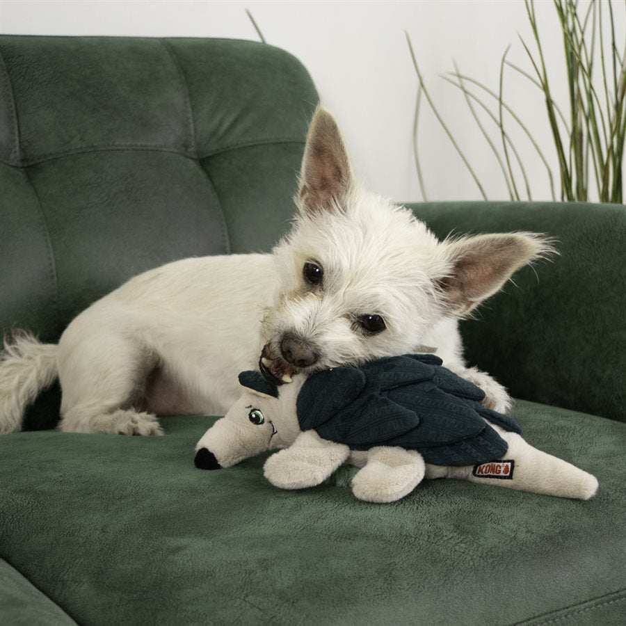 KONG Layerz Forage Armadillo Dog Toy