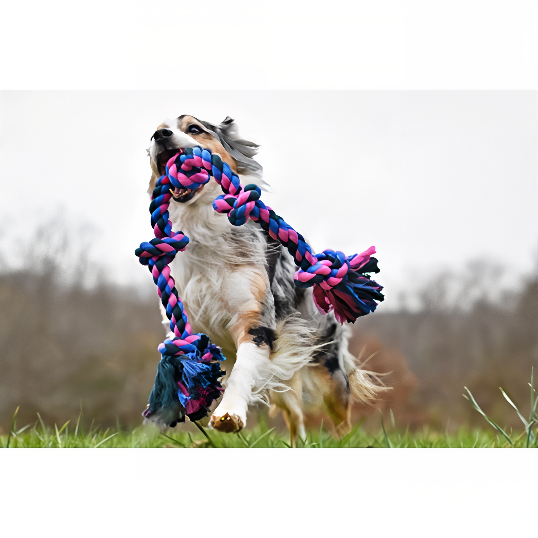 Mammoth Flossy Chews Color 3-Knot Rope Tug Dog Toy