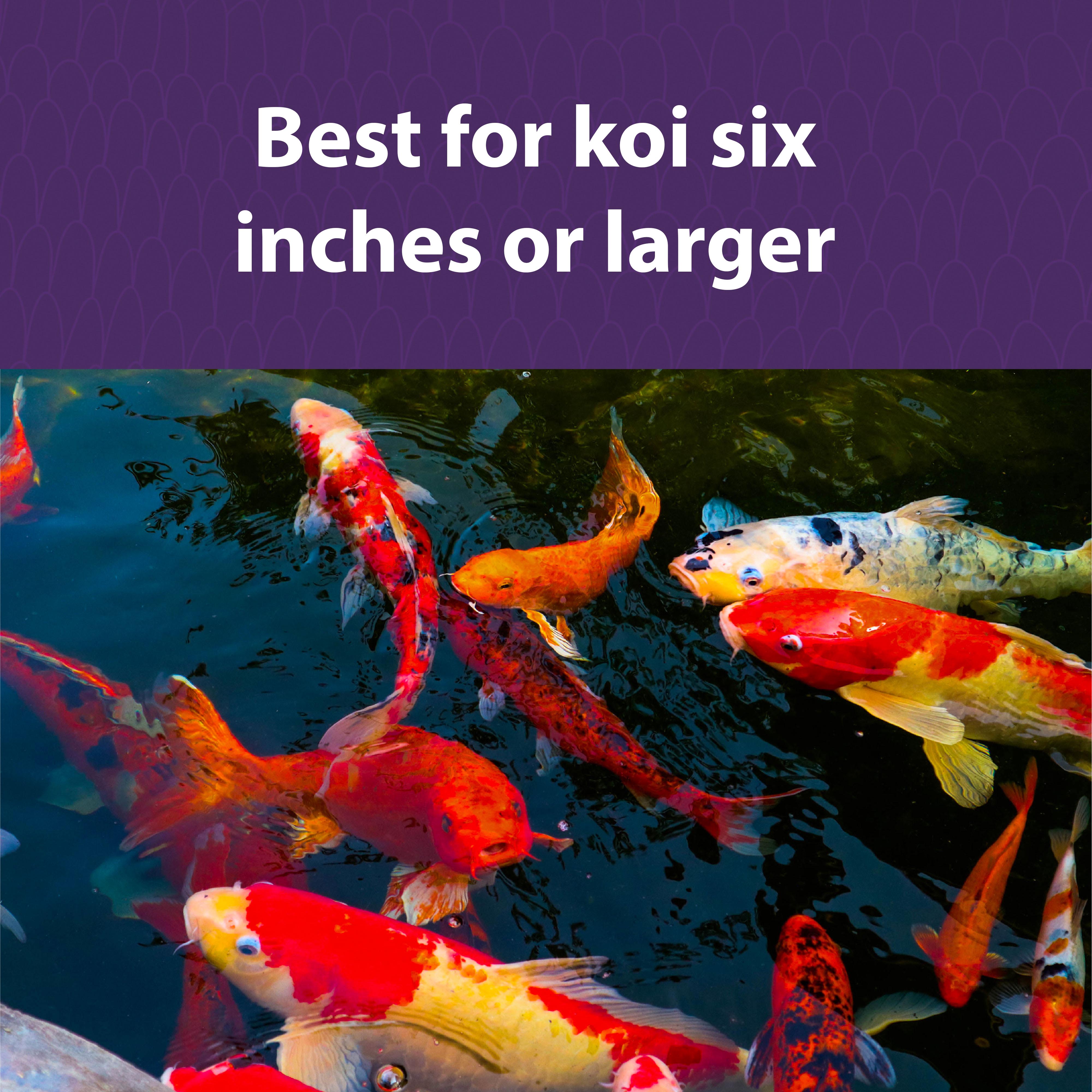 What Mazuri Koi Pond Nuggets are designed for