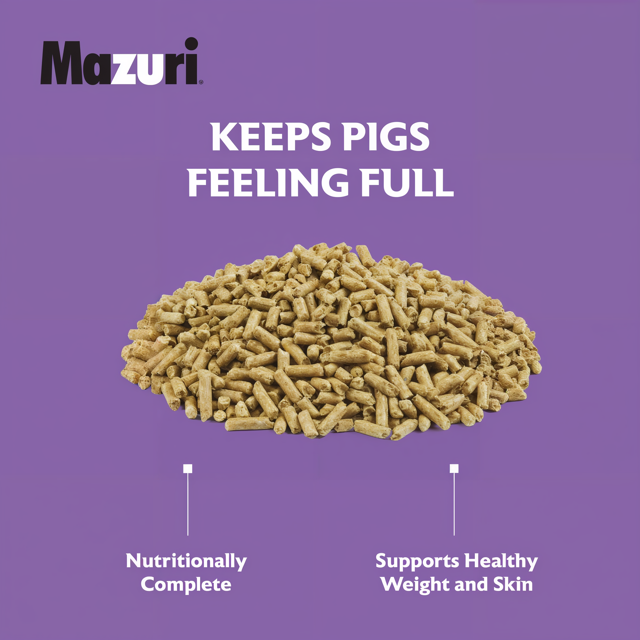 A close-up of Mazuri Mini Pig Mature Maintenance pieces