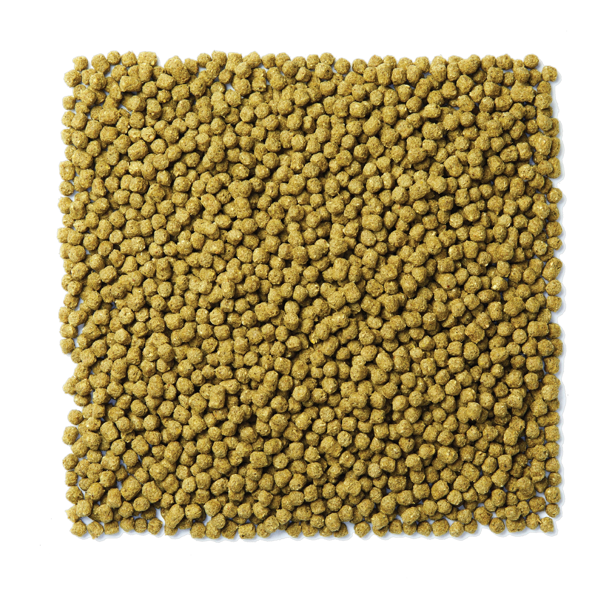 Mazuri NutriBlend Green extruded pigeon pellets
