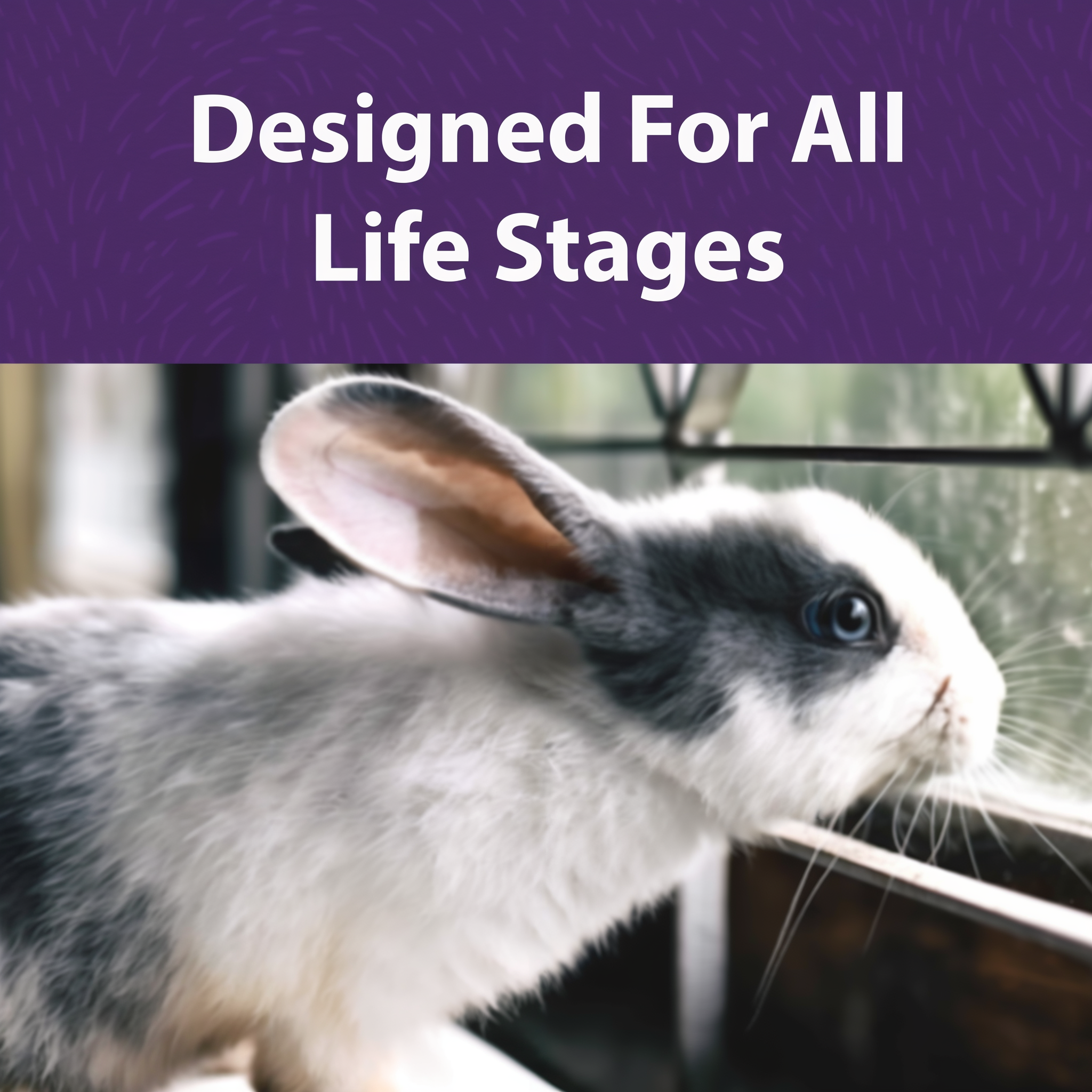 Mazuri Timothy-Hay Based Rabbit Diet benefits and features