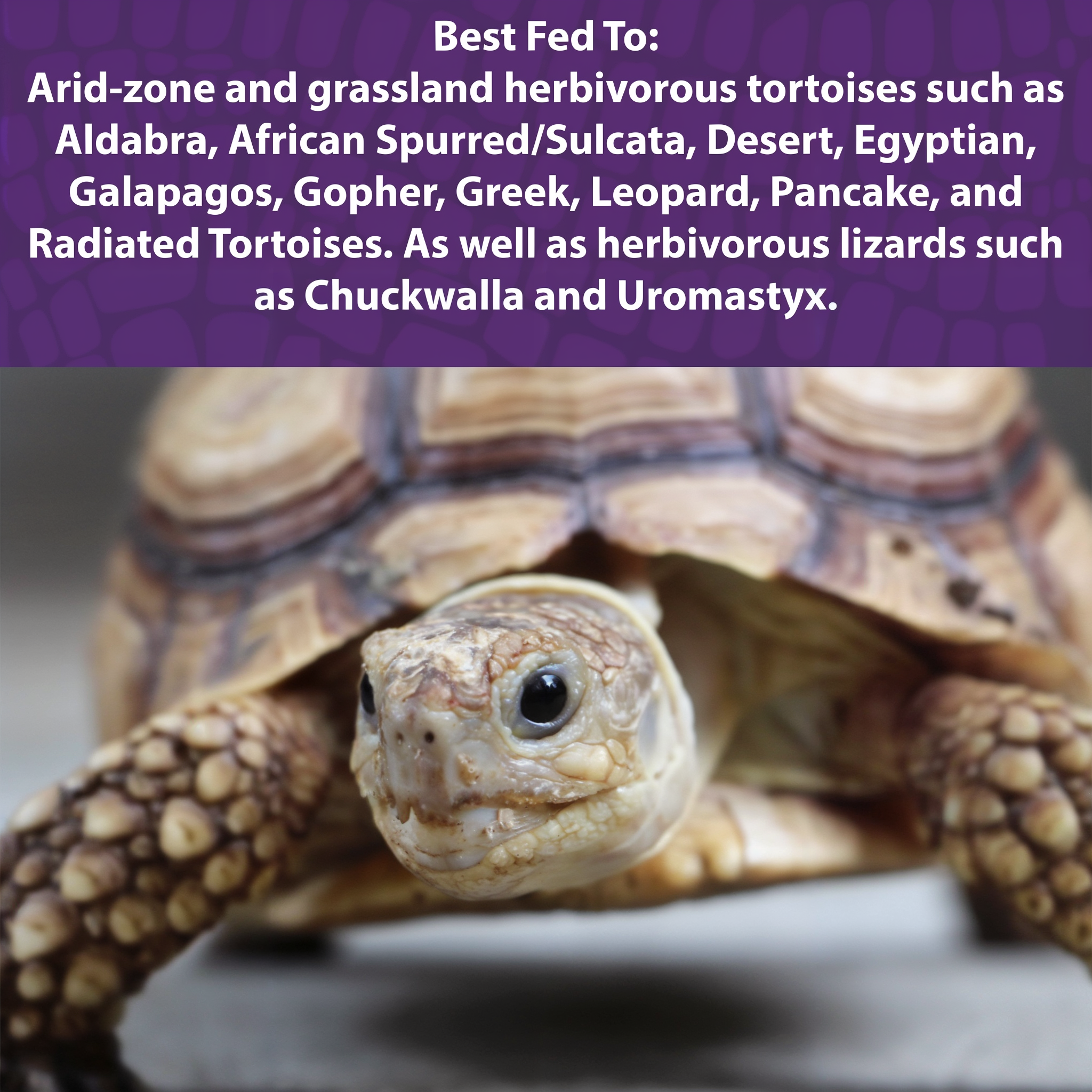 Mazuri Tortoise LS Diet benefits and features