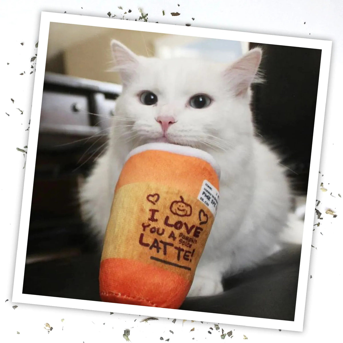 White cat holding the plush Pumpkin Spice Latte catnip toy