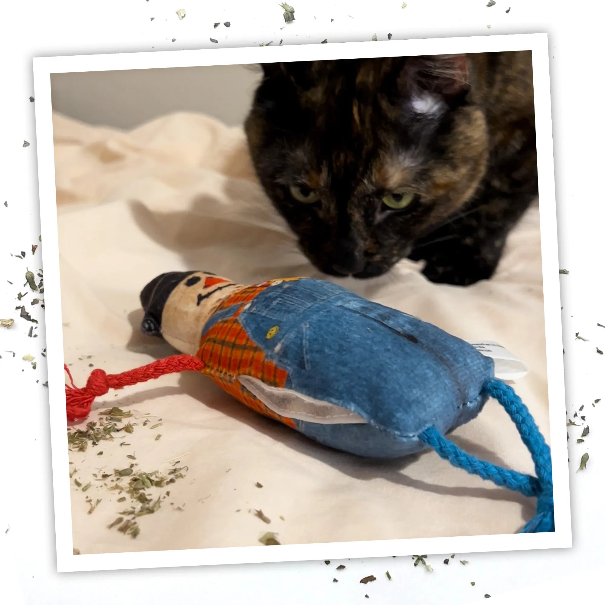 Cat sniffing the Get Spooked Scarecrow catnip toy on a bed