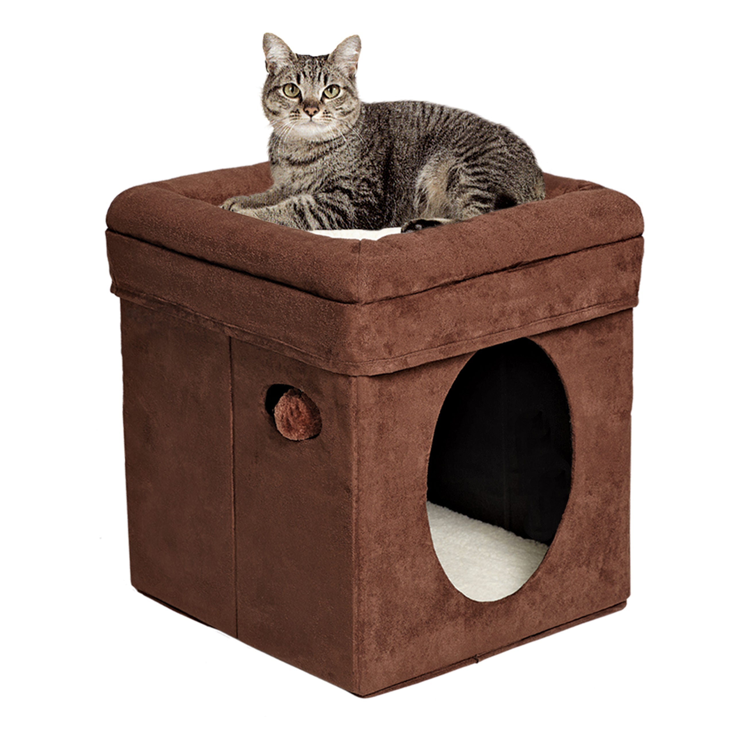 Cat lounging on the MidWest Curious Cat Cube rooftop bed