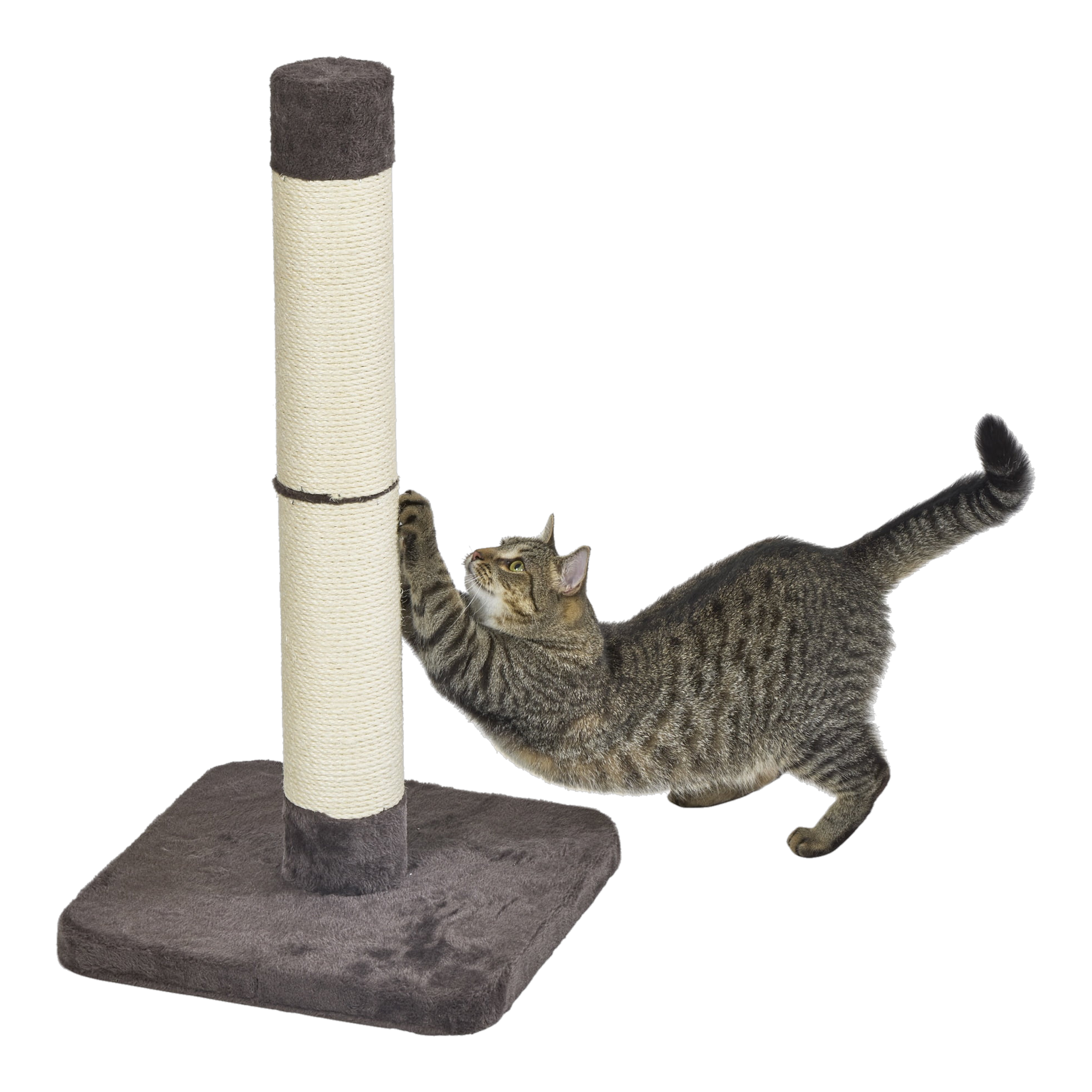 MidWest Feline Nuvo Forte Scratching Post Medium #Medium
