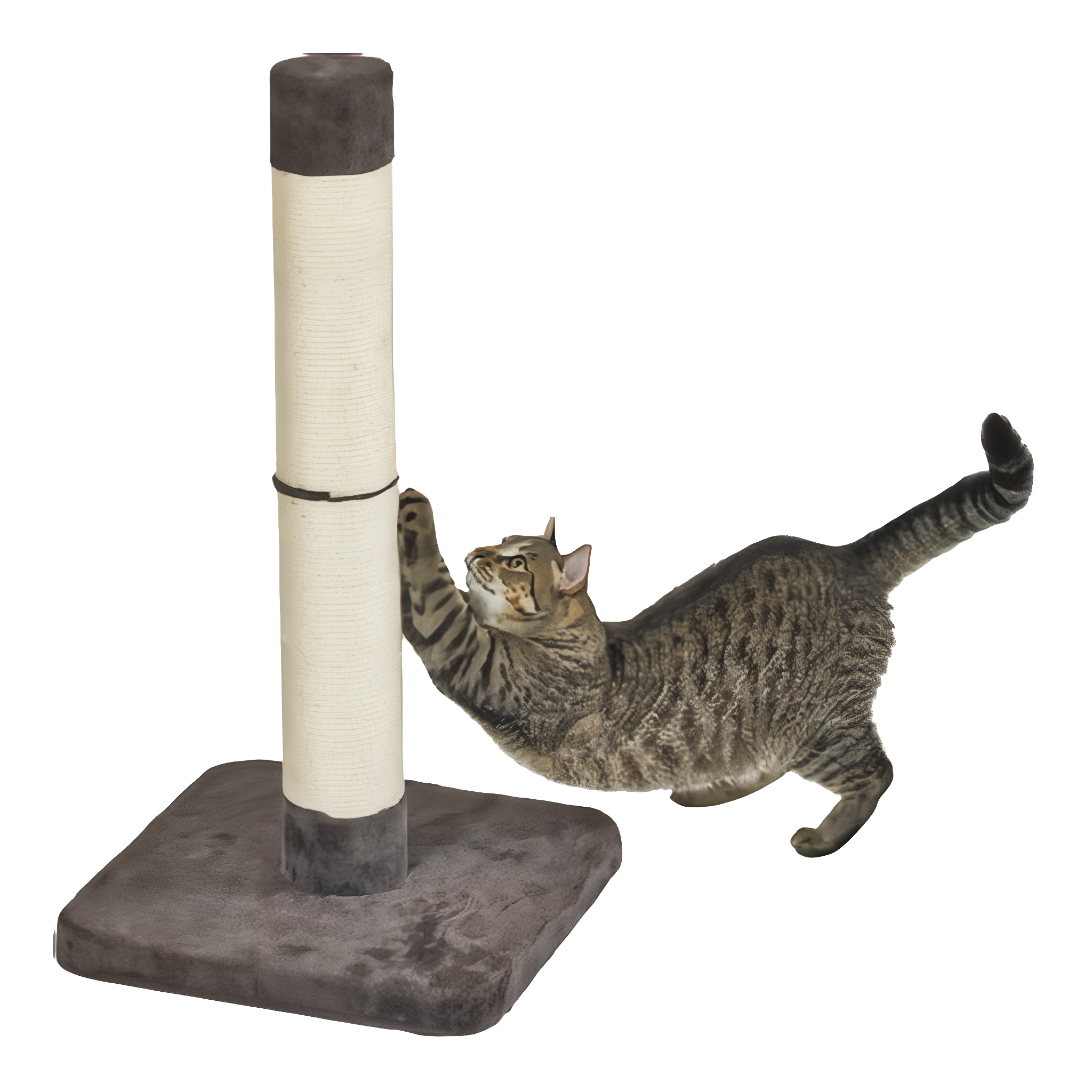 Feline Nuvo Medium Forte Scratching Post