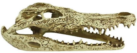 MultiPet Komodo Alligator Skull Hideout Pet Toy