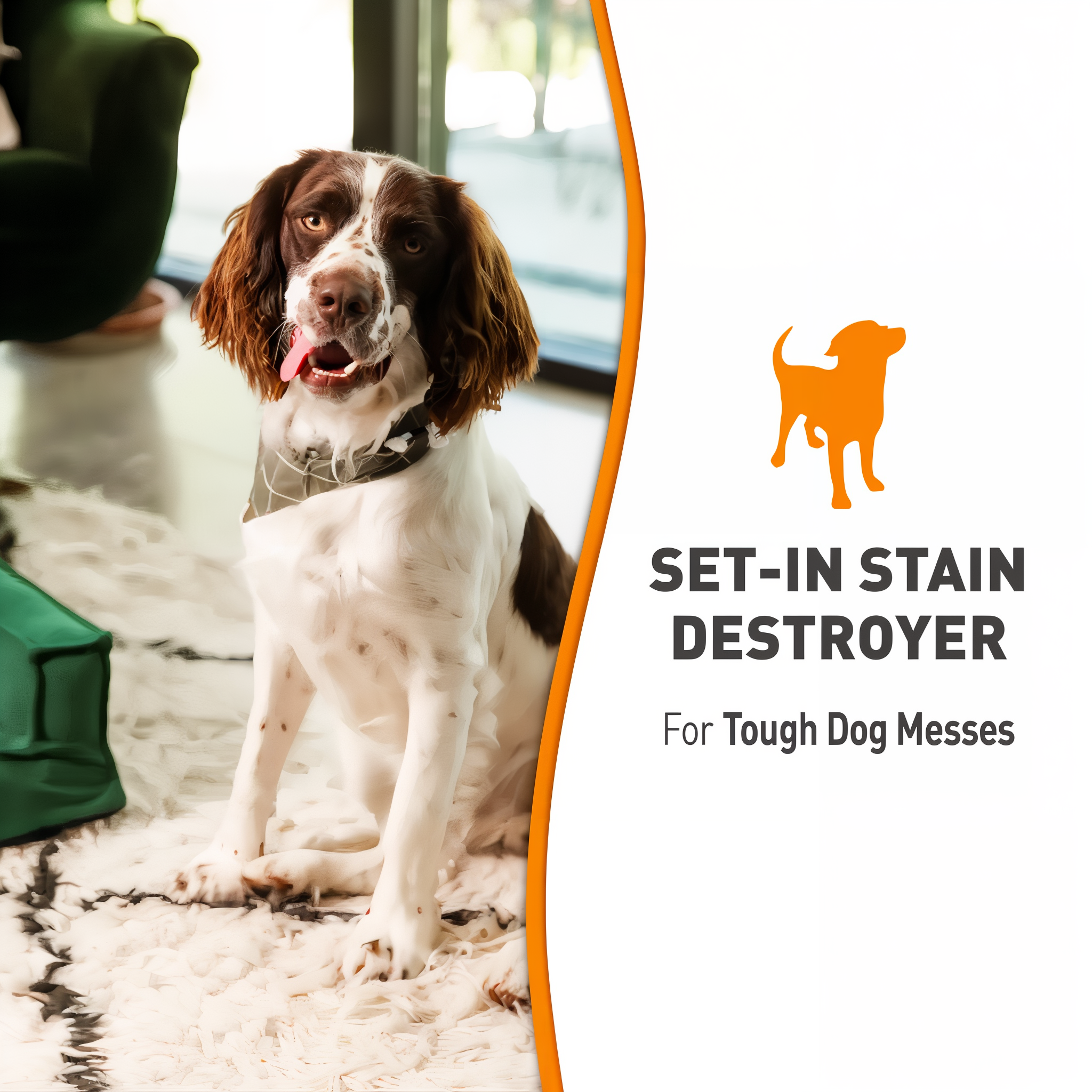 Nature's Miracle Set-In Stain Destroyer Dog Oxy Formula dog setinstainremover 24oz g03 setinstaindestroyer