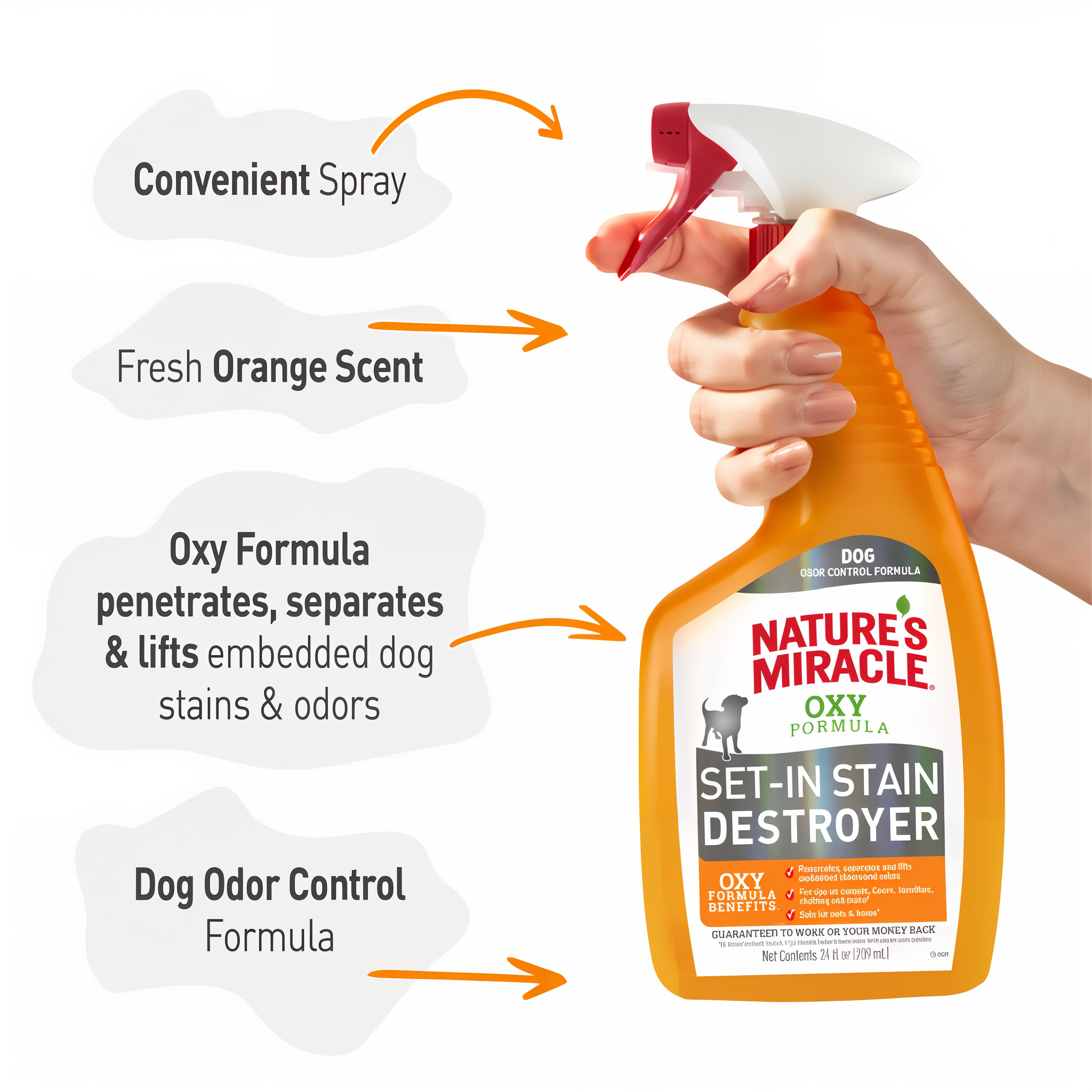 Nature's Miracle Set-In Stain Destroyer Dog Oxy Formula dog setinstainremover 24oz g06 benefits