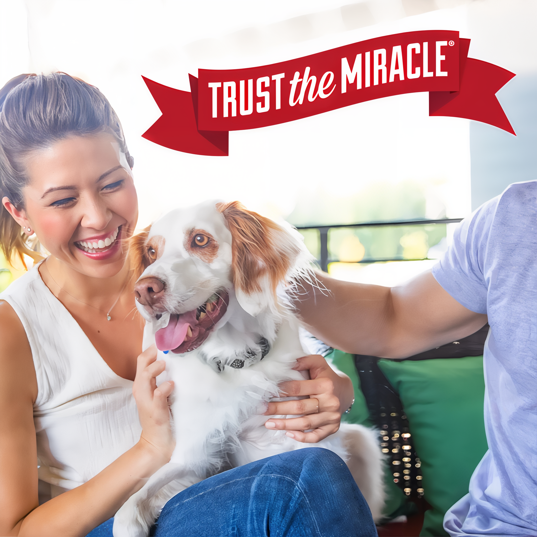 Nature's Miracle Stain and Odor Remover Dog dog stainodorremover 16oz g10 brandstatement