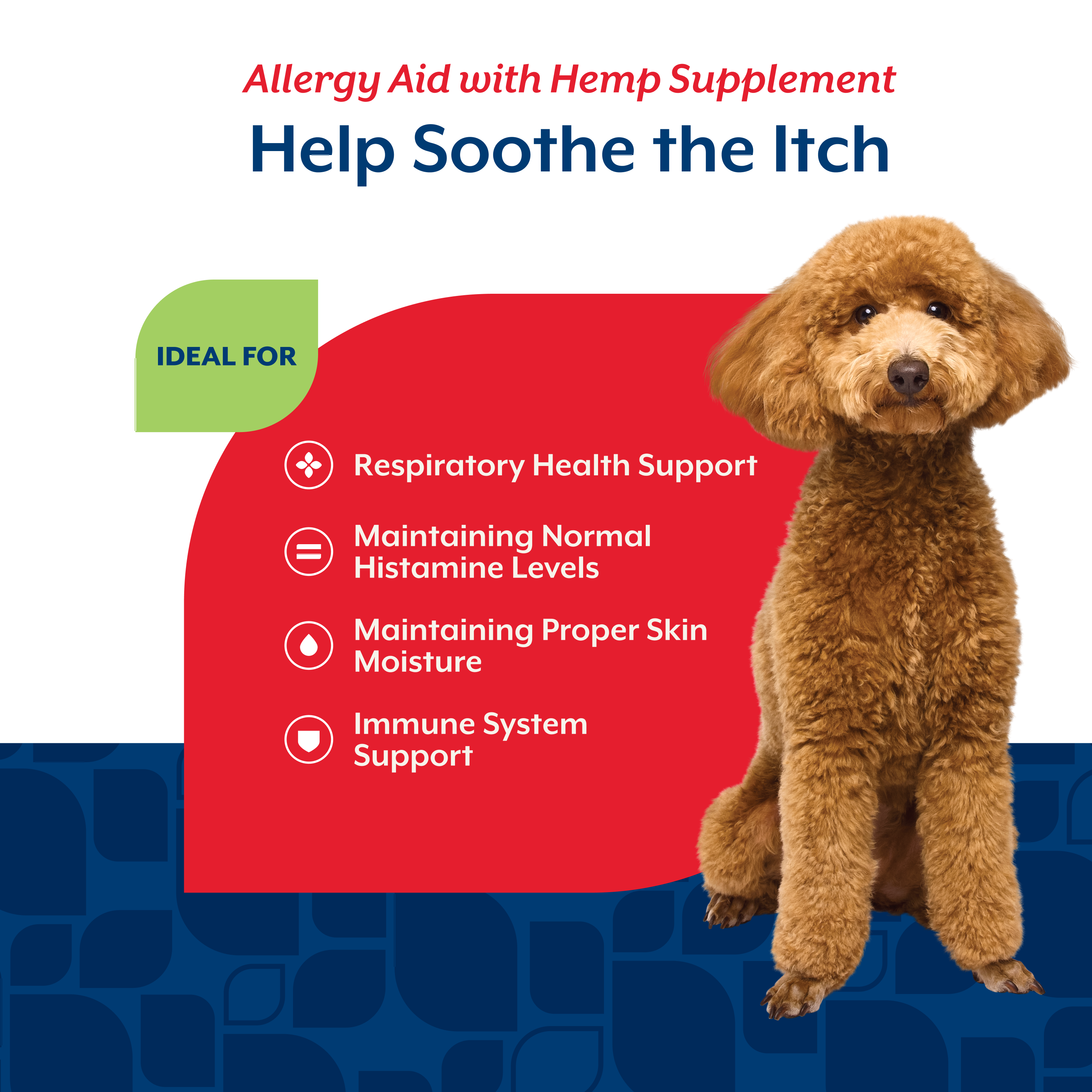 Chart showing Allergy Aid supports respiratory health, normal histamine levels, skin moisture and immunity