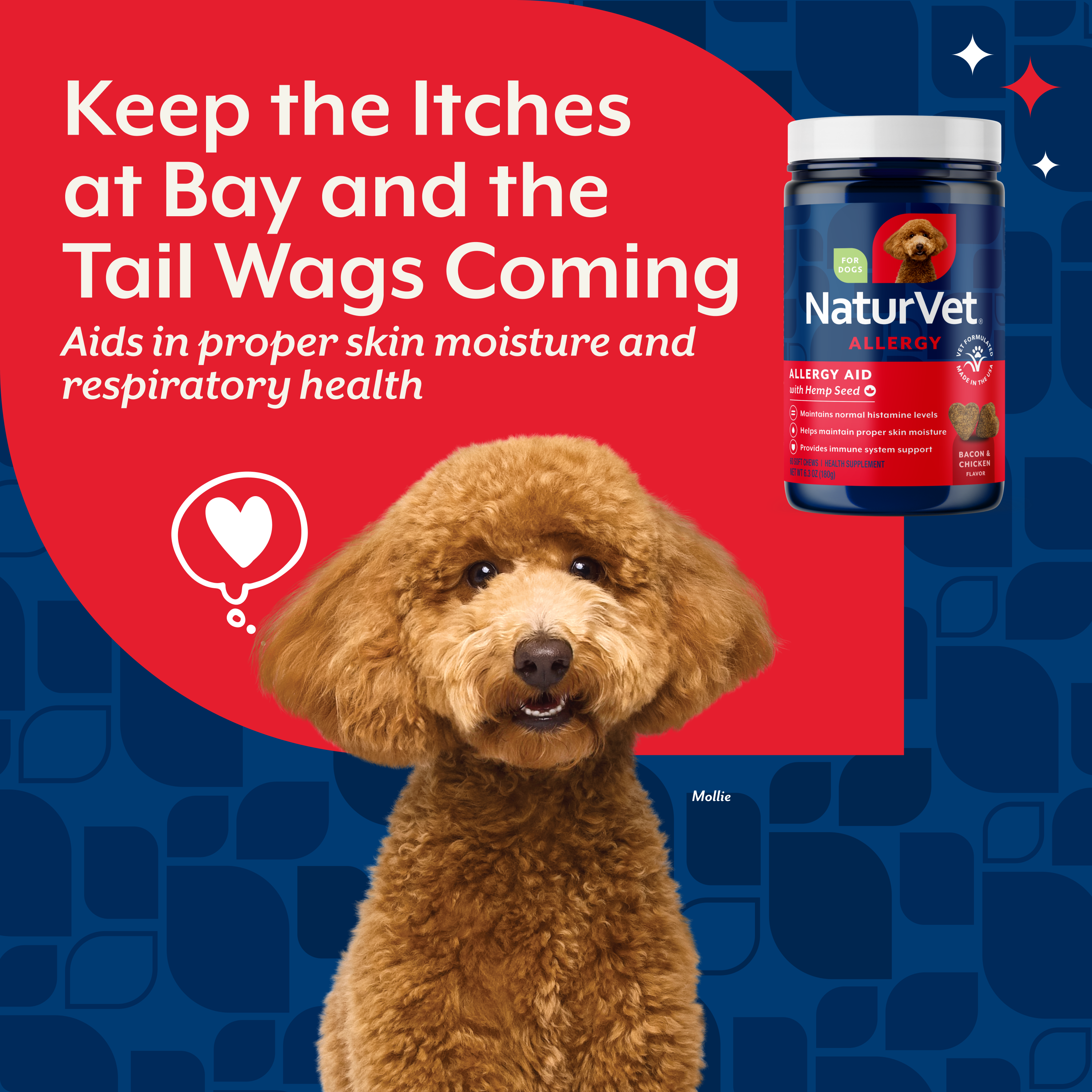 Dog with the Allergy Aid jar and the claim that it aids proper skin moisture and respiratory health