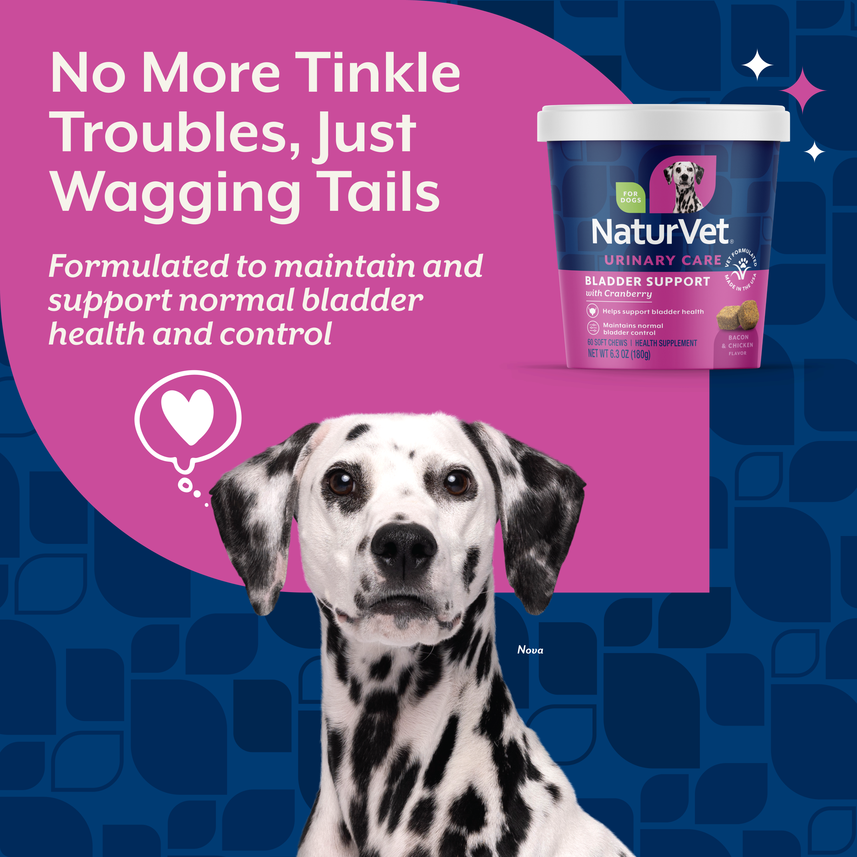 Dalmatian with the Bladder Support tub and the claim that it supports normal bladder health and control
