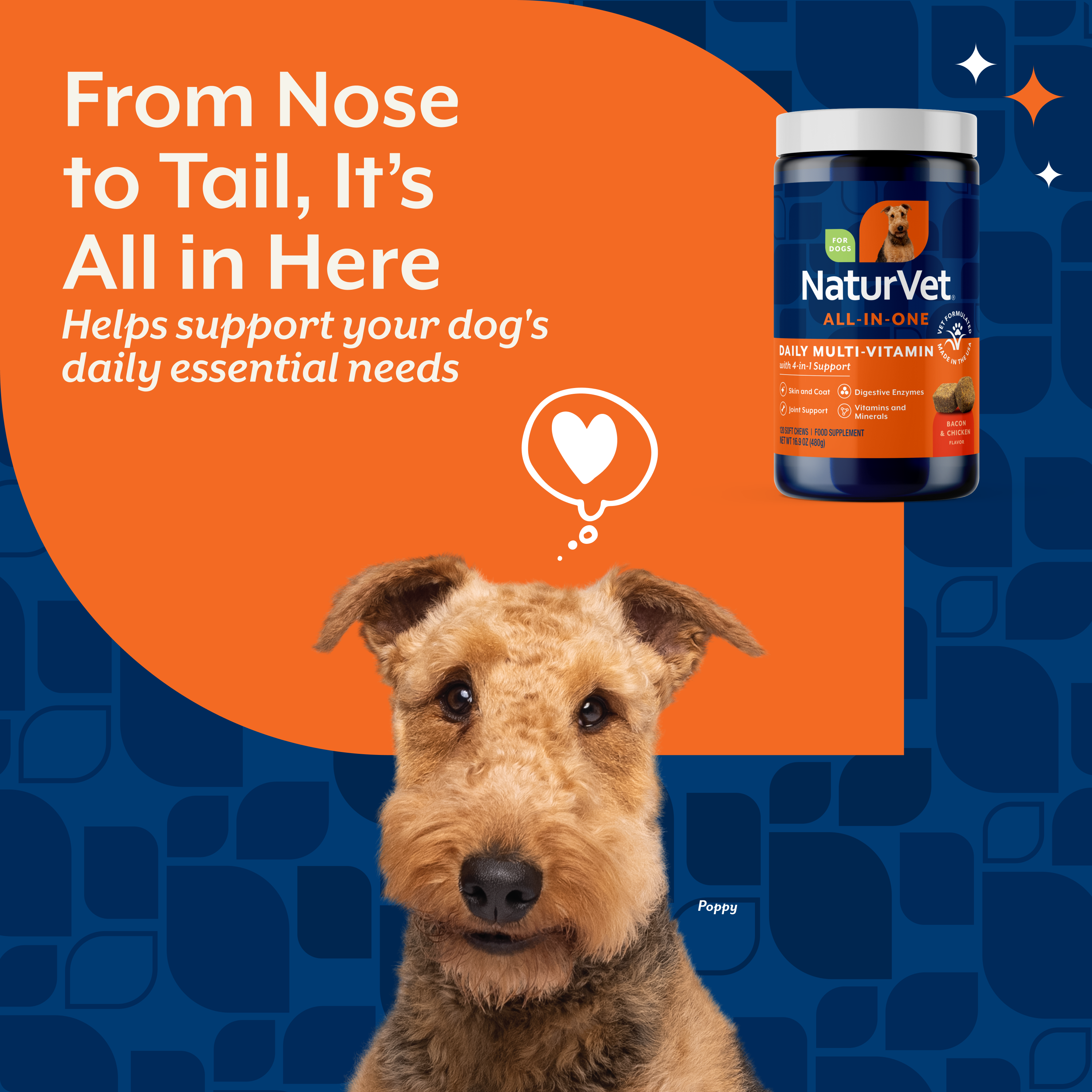 From nose to tail panel showing the multi-vitamin supports a dog's daily essential needs