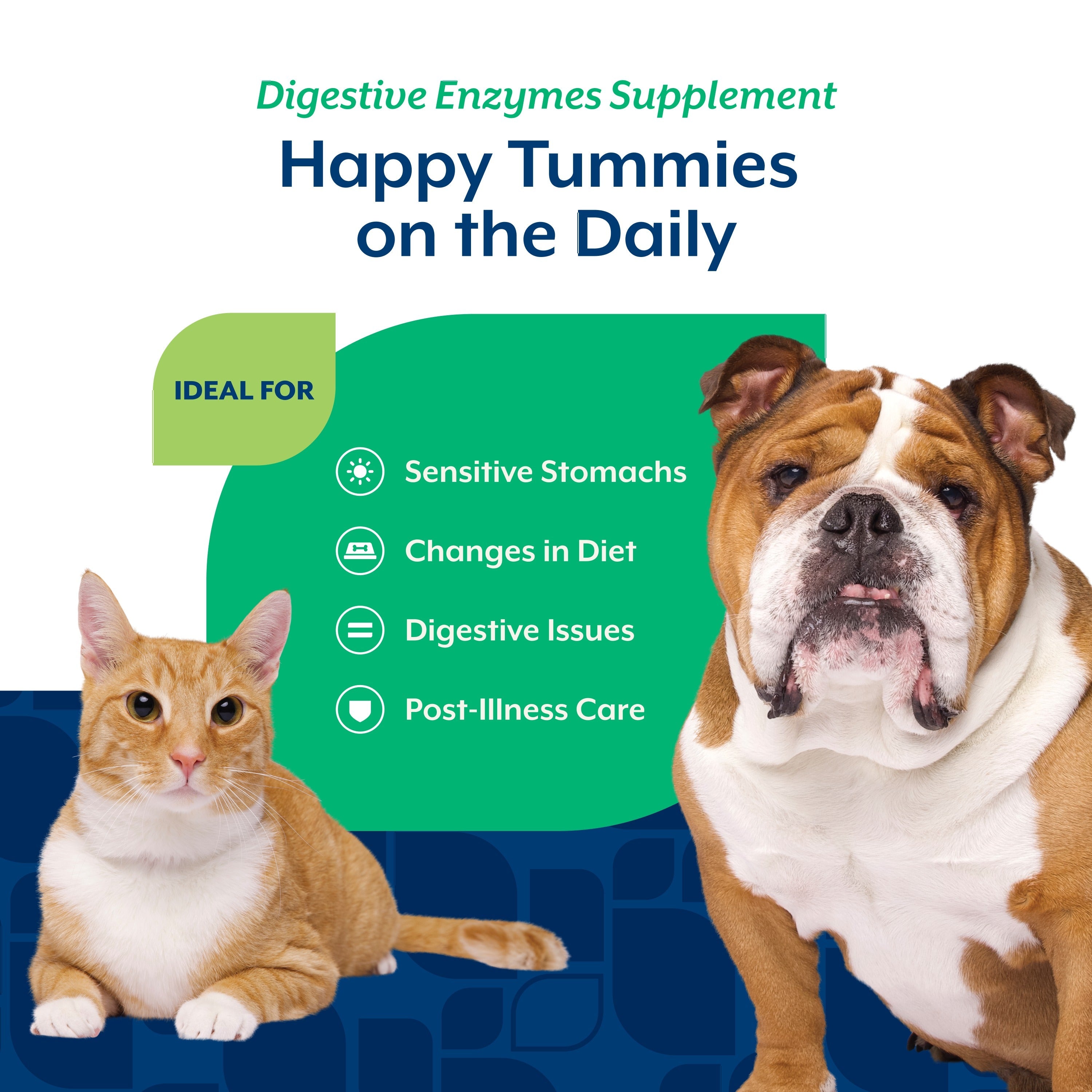 NaturVet Digestive Enzymes Powder for dogs and cats — ideal for sensitive stomachs, diet changes, digestive issues, and post-illness care