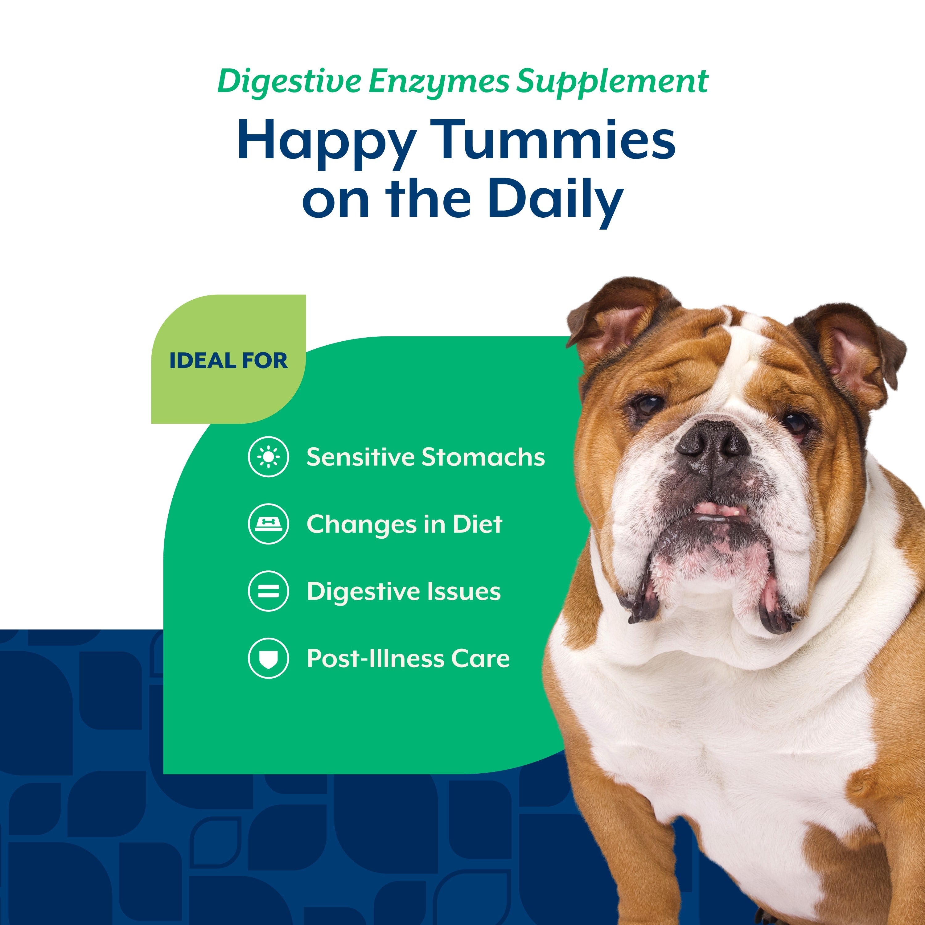 NaturVet Digestive Enzymes Soft Chews for dogs — ideal for sensitive stomachs, diet changes, digestive issues, and post-illness care