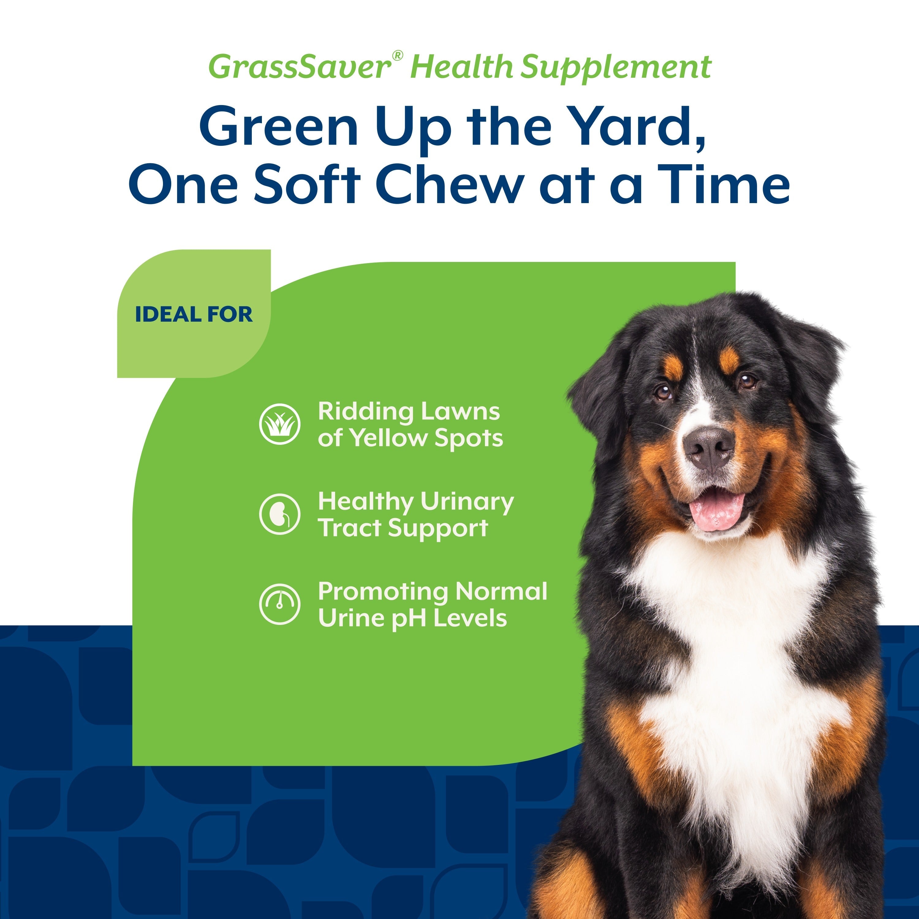 NaturVet GrassSaver Soft Chews for dogs — ideal for ridding lawns of yellow spots, urinary tract support, and normal urine pH levels