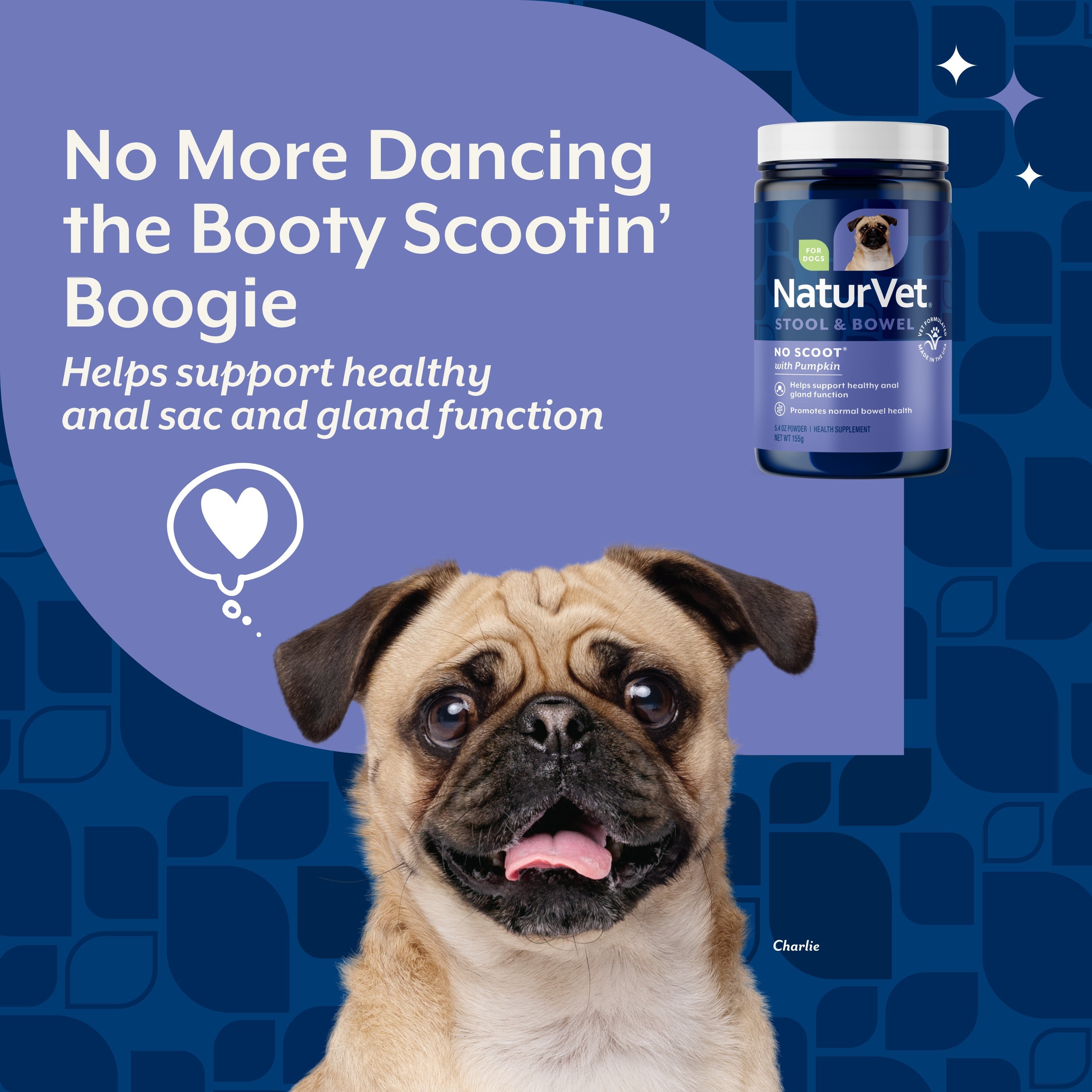 NaturVet No Scoot Powder for dogs — support for healthy anal sac and gland function