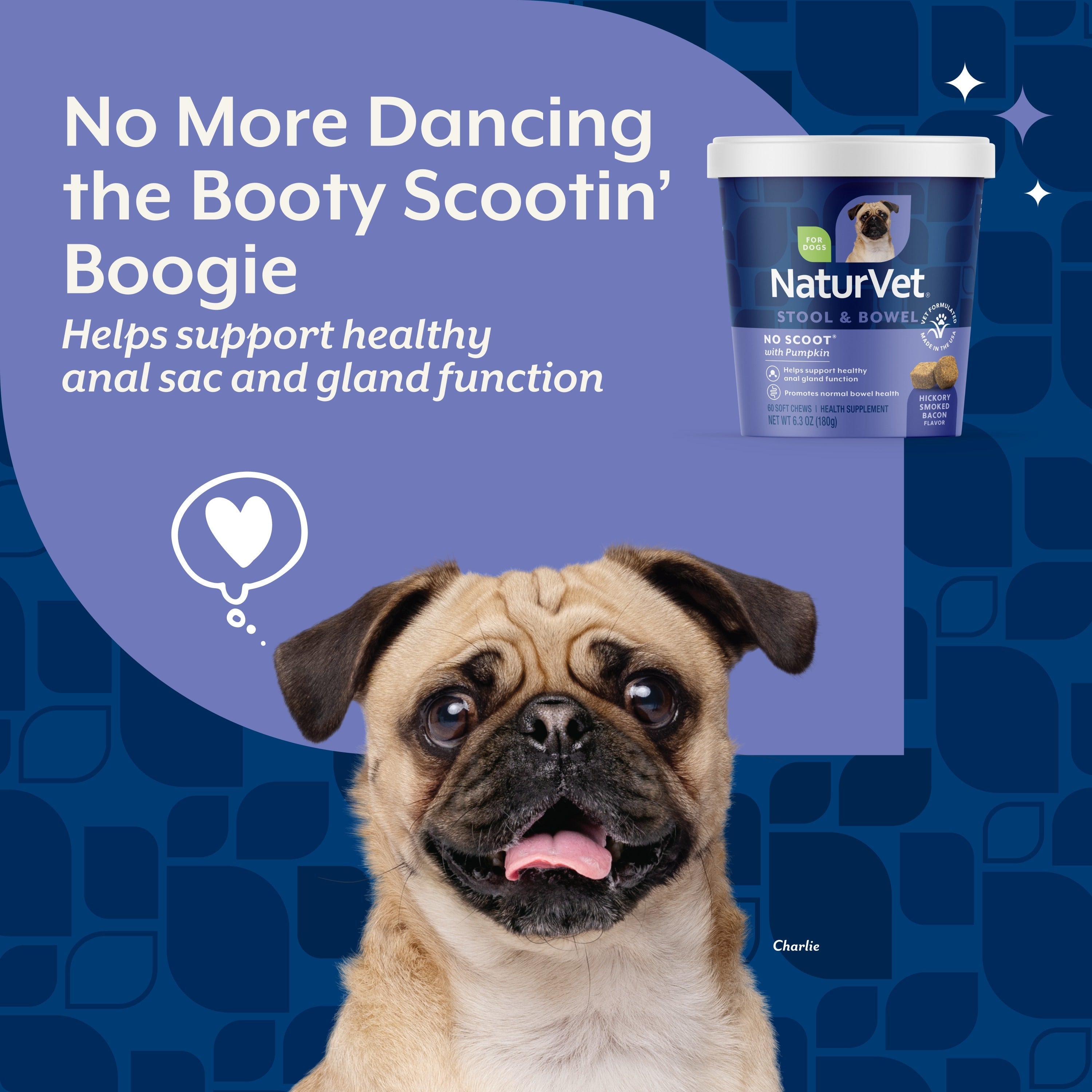 NaturVet No Scoot Soft Chews for dogs — support for healthy anal sac and gland function