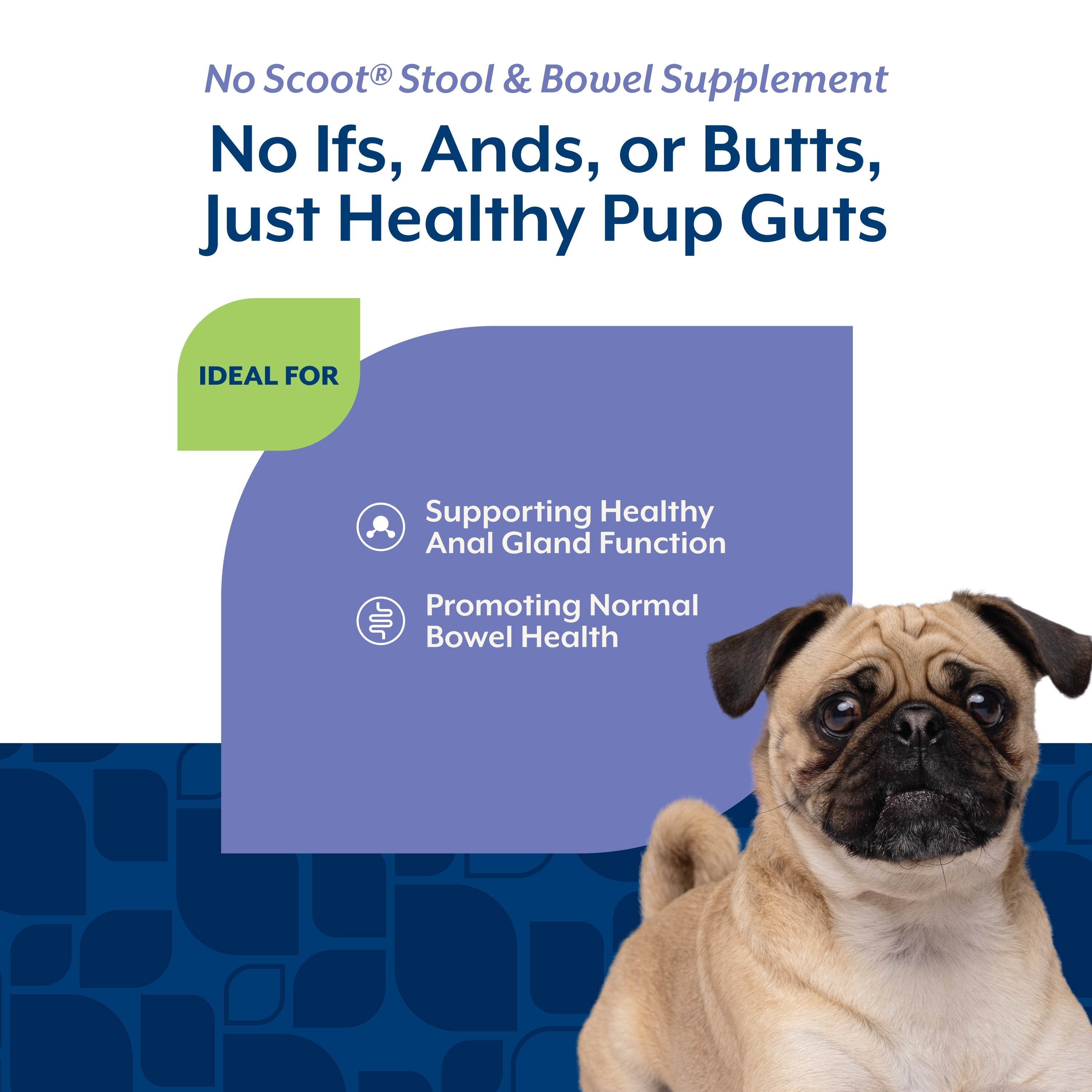 NaturVet No Scoot Soft Chews for dogs — ideal for supporting healthy anal gland function and normal bowel health