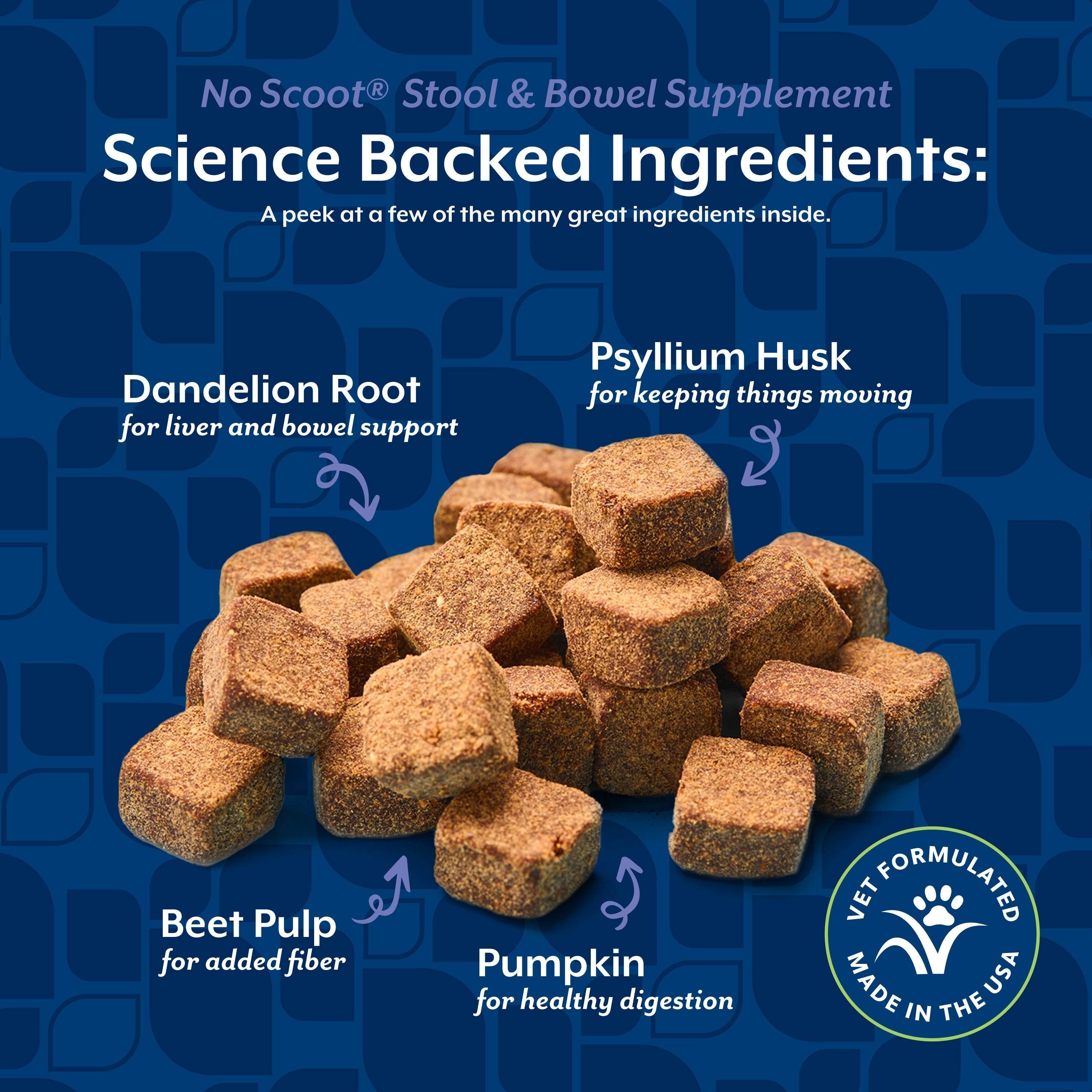 NaturVet No Scoot Soft Chews for dogs — science-backed ingredients including psyllium husk, dandelion root, beet pulp, and pumpkin