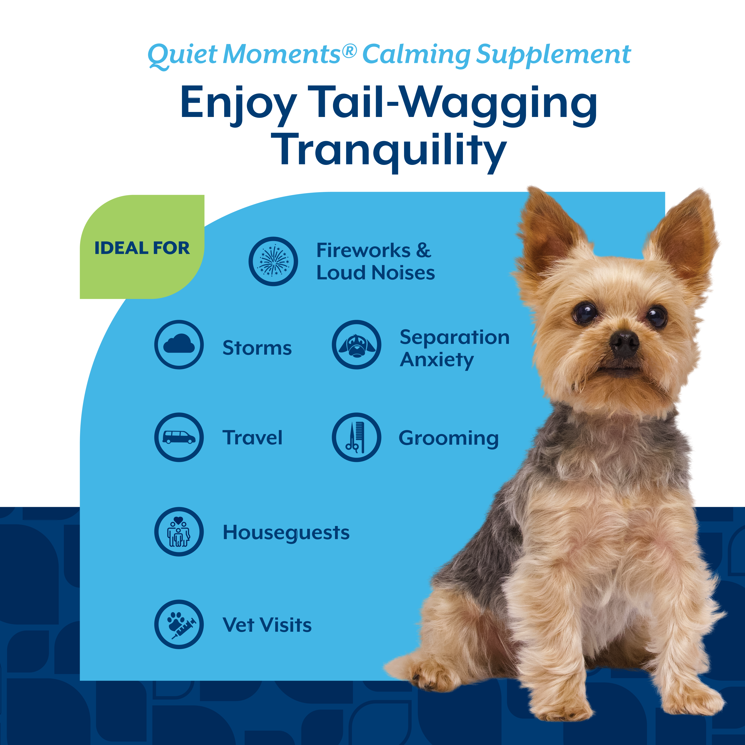 Chart showing Quiet Moments is ideal for fireworks, storms, travel, grooming, houseguests and vet visits