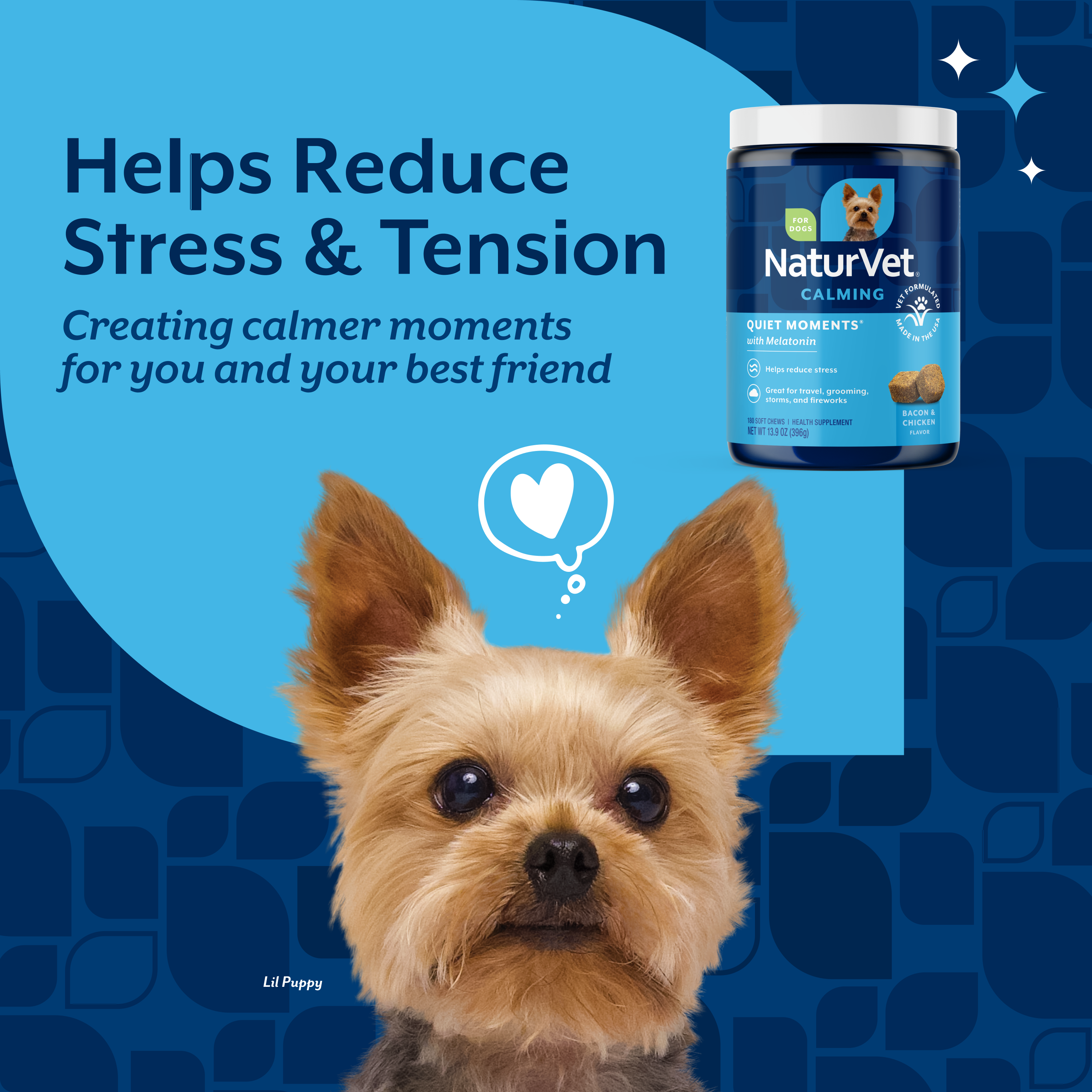 Dog with the Quiet Moments jar and the claim that it helps reduce stress and tension