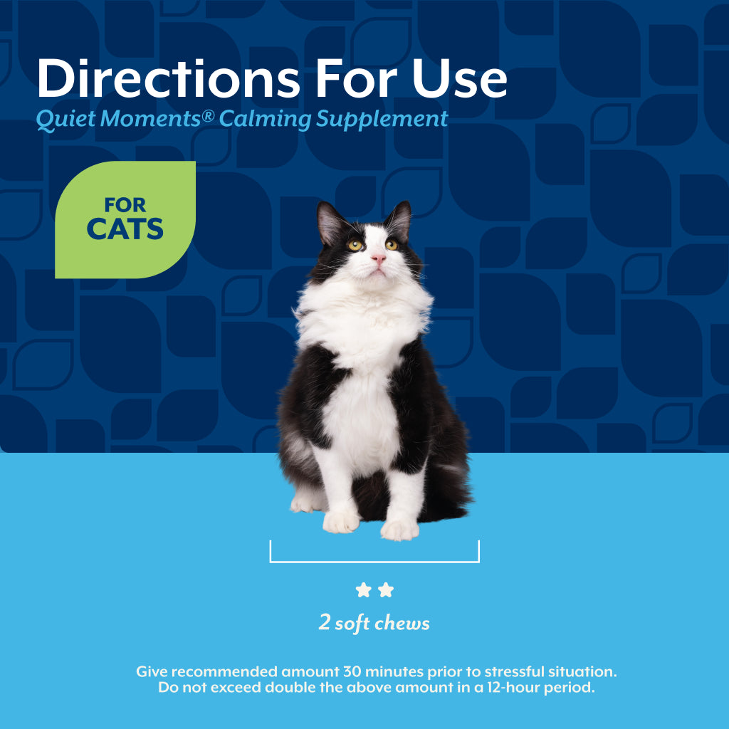 Directions for use panel showing two soft chews given 30 minutes before a stressful situation