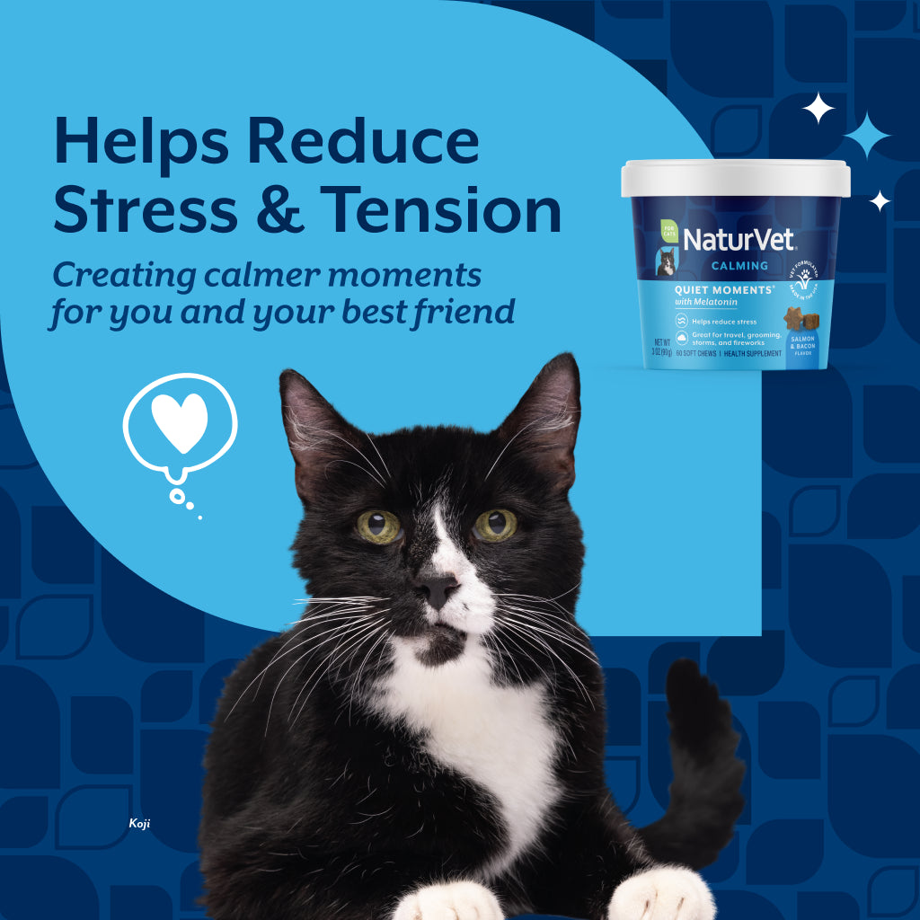 Cat with the Quiet Moments tub and the claim that it helps reduce stress and tension