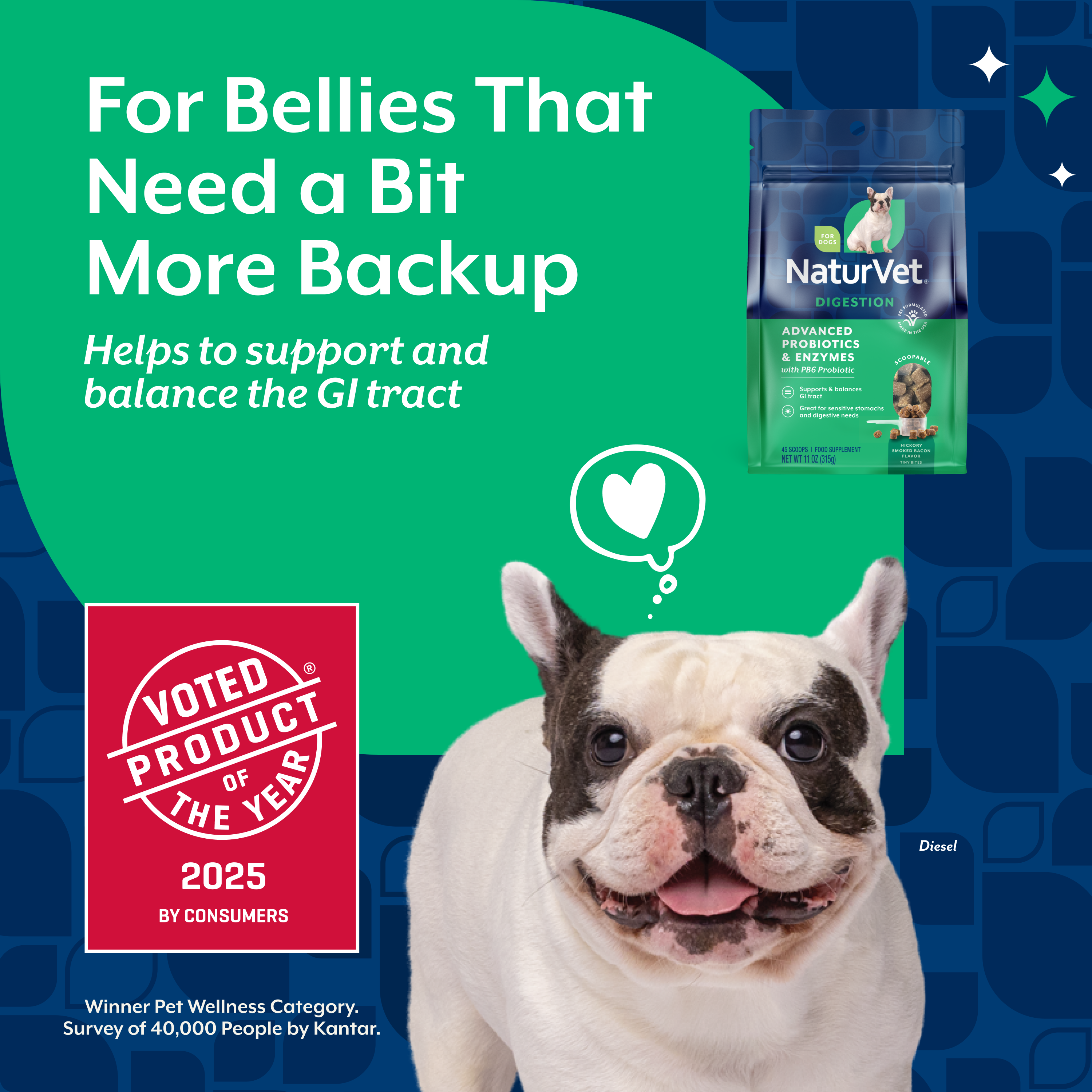 Benefit overview panel for NaturVet Advanced Probiotics & Enzymes Scoopable Tiny Bites