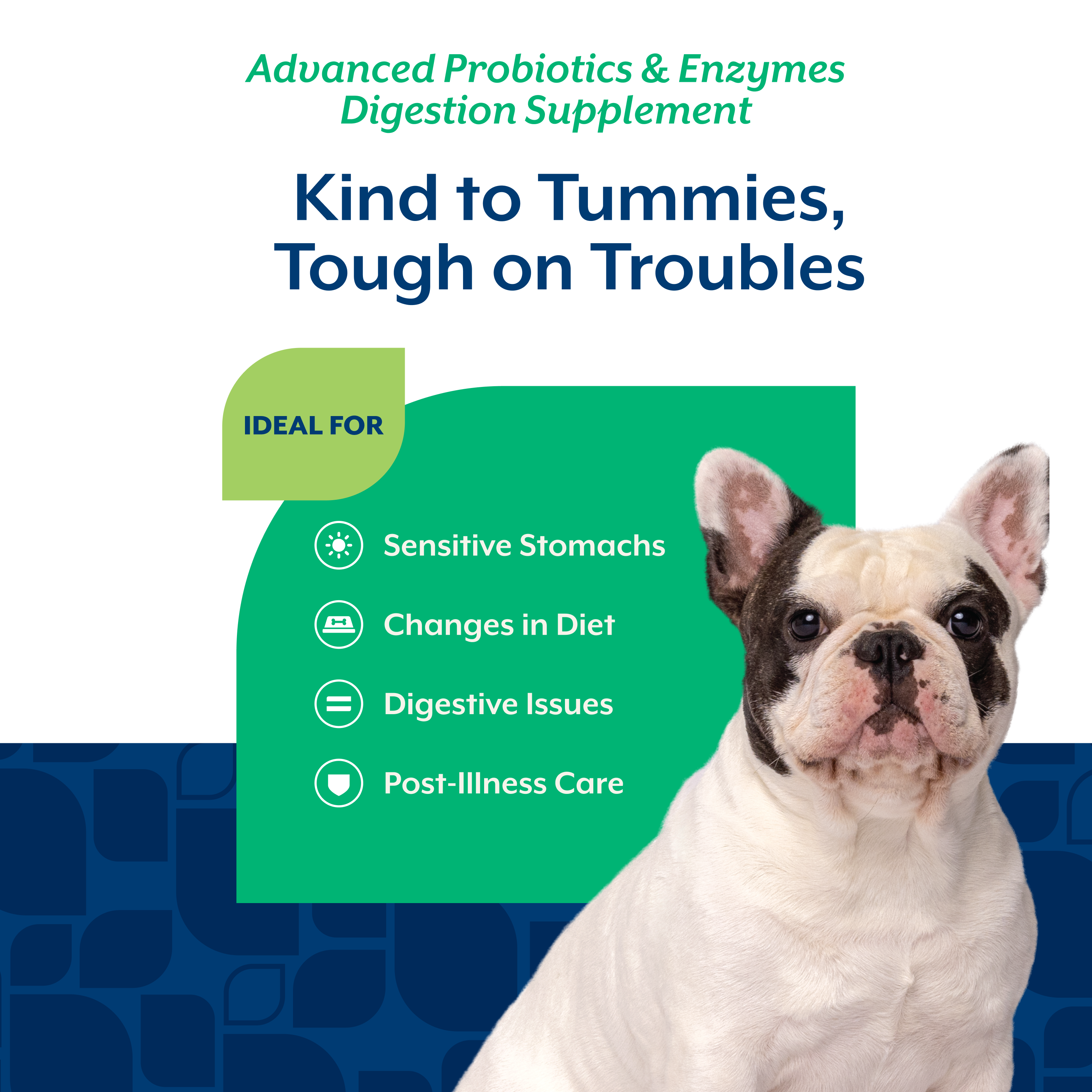 Panel listing what NaturVet Advanced Probiotics & Enzymes Scoopable Tiny Bites is ideal for