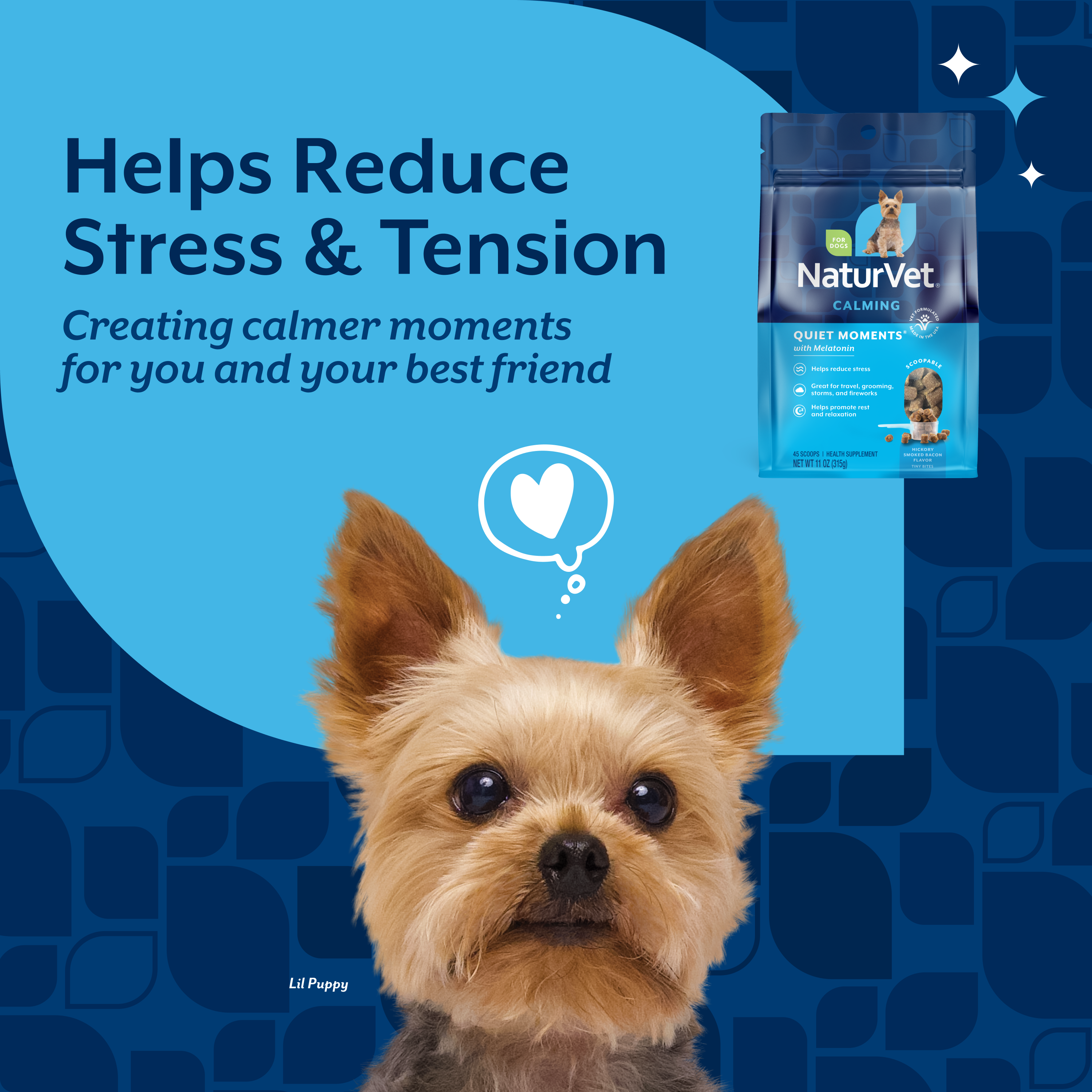 Benefit overview panel for NaturVet Quiet Moments Calming Scoopable Tiny Bites